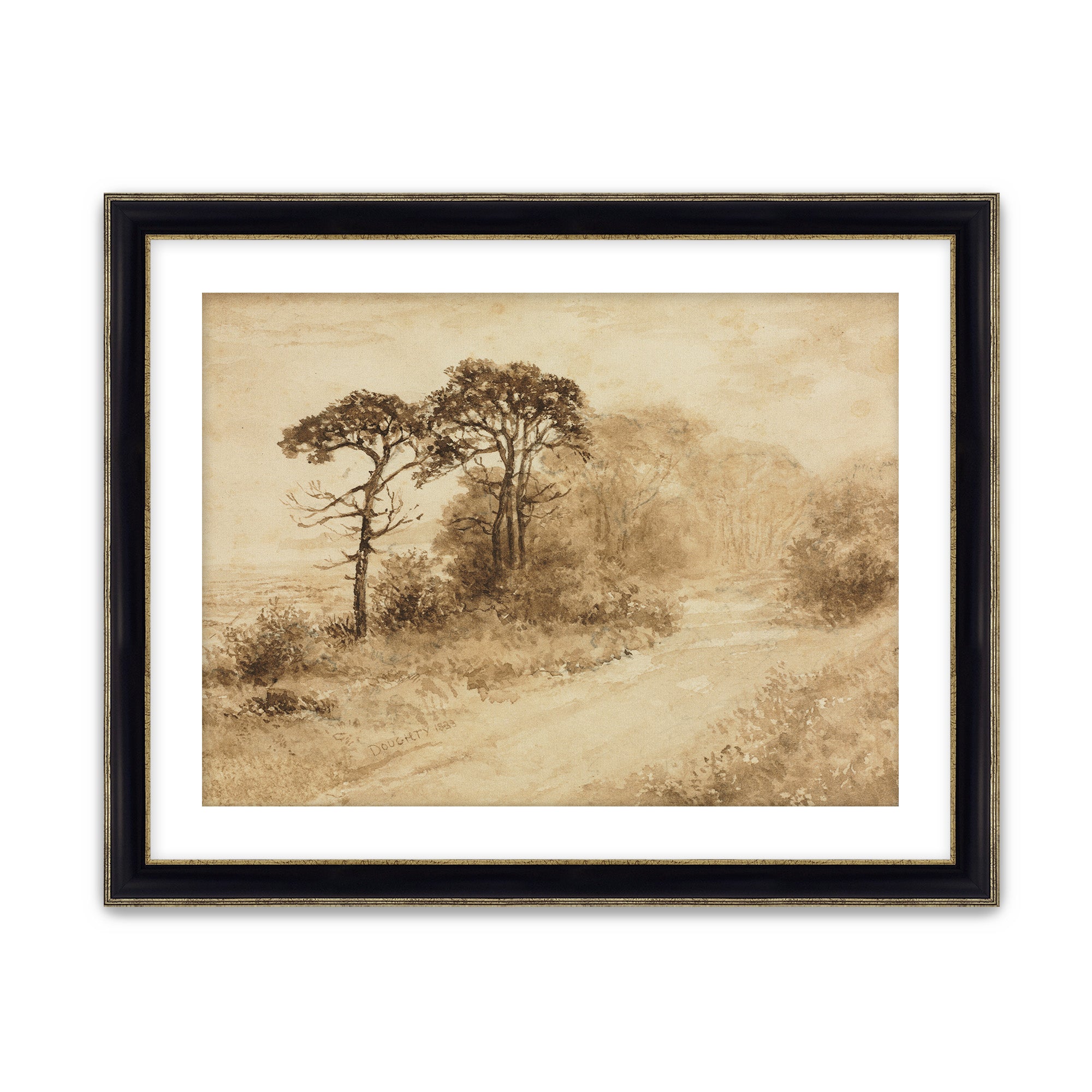 Sepia Trees