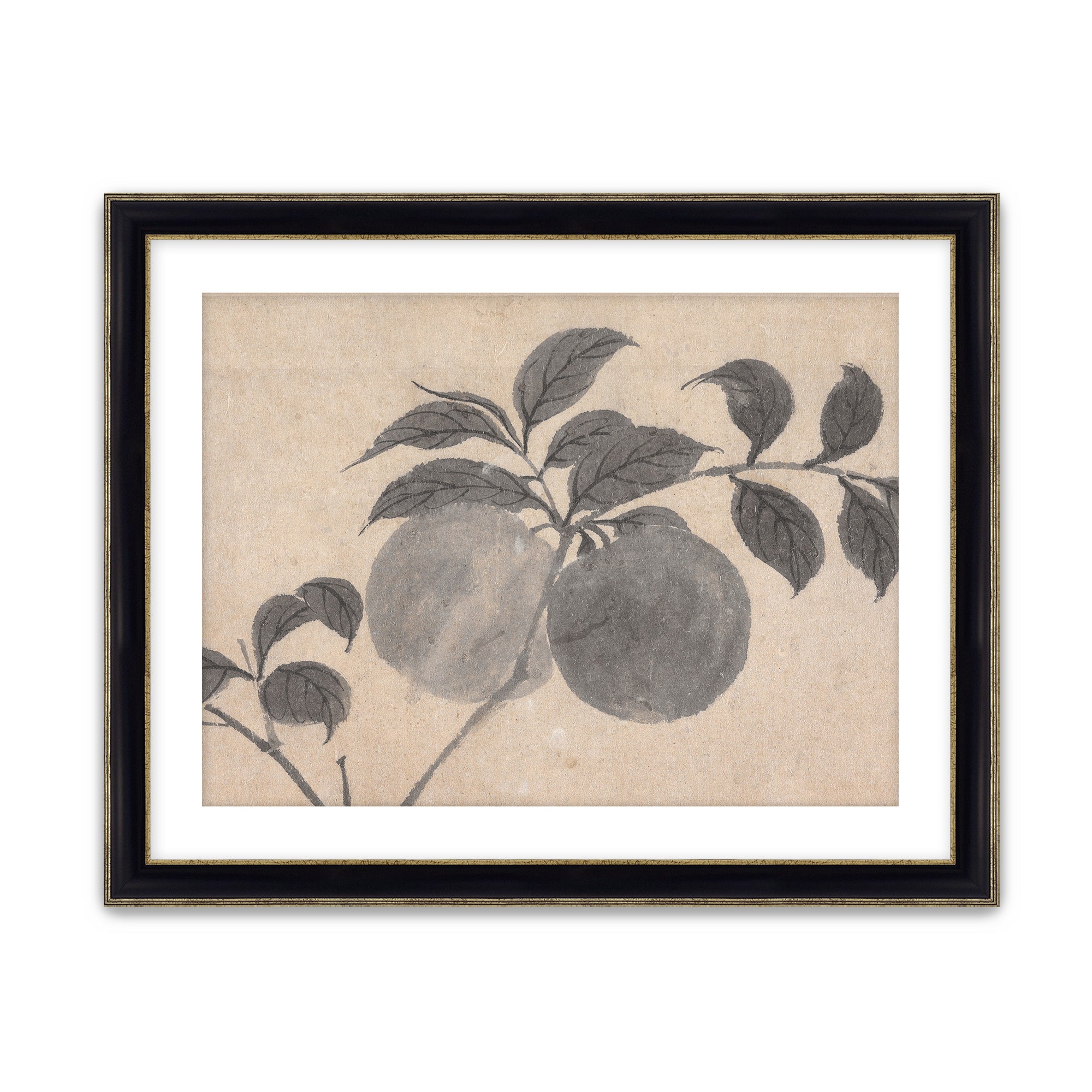 Fruit Branch Studies I