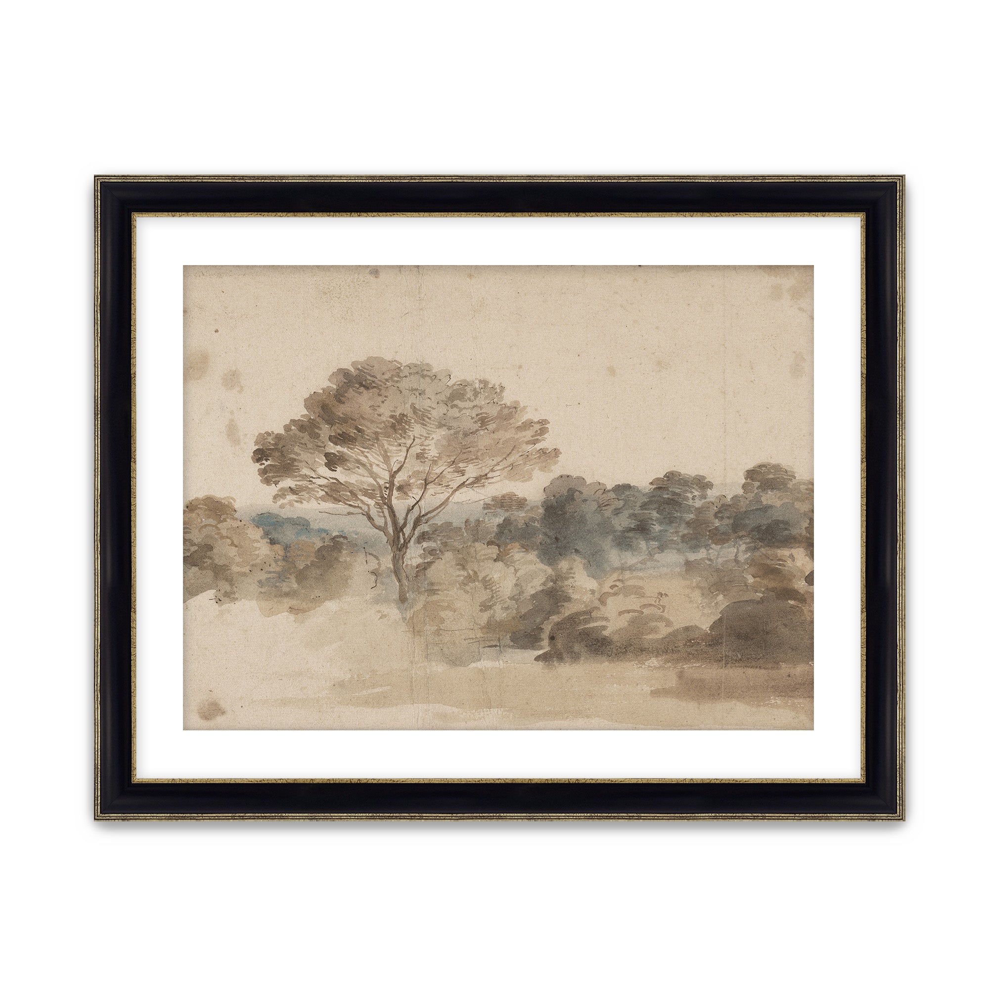 Quiet Grove