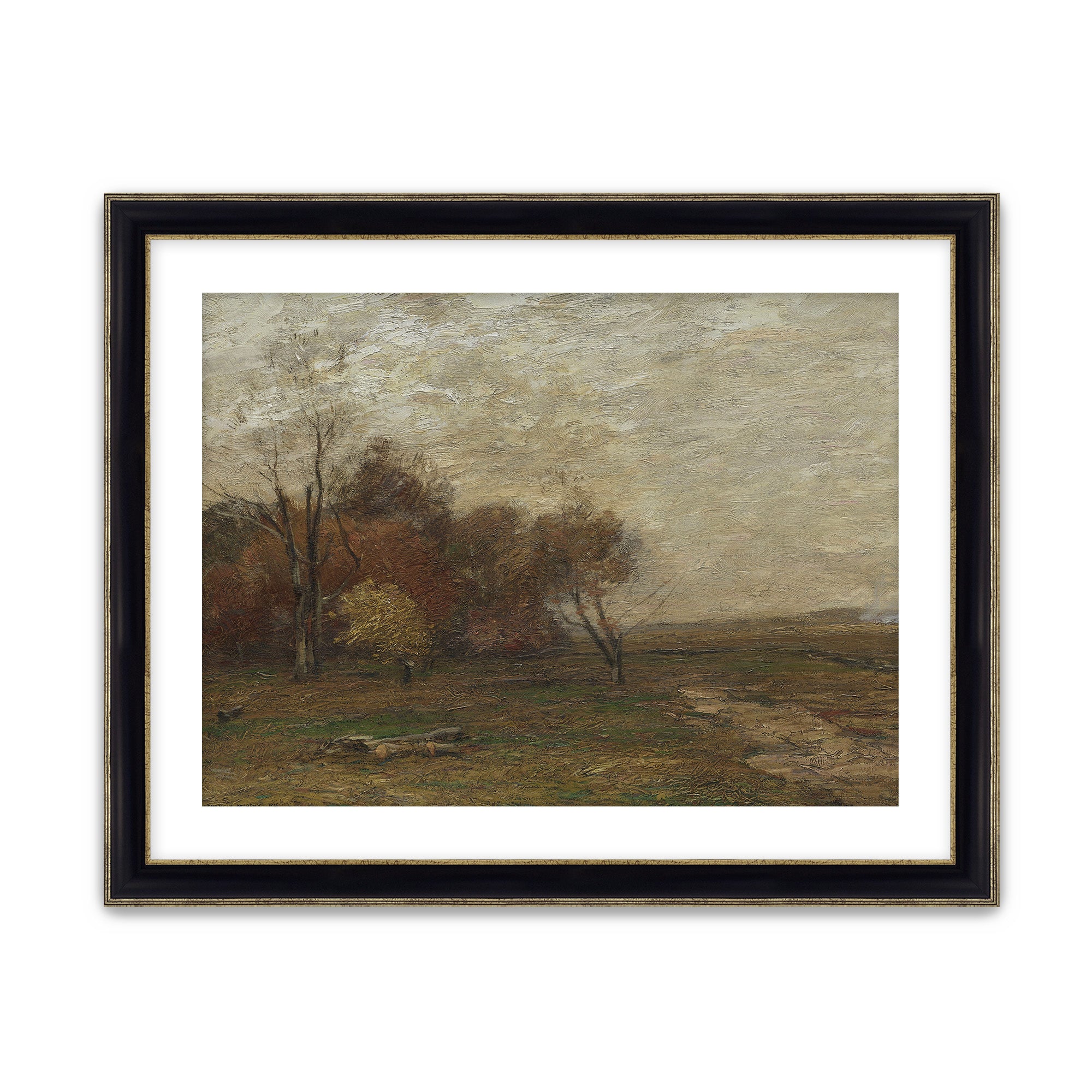 Autumn Field