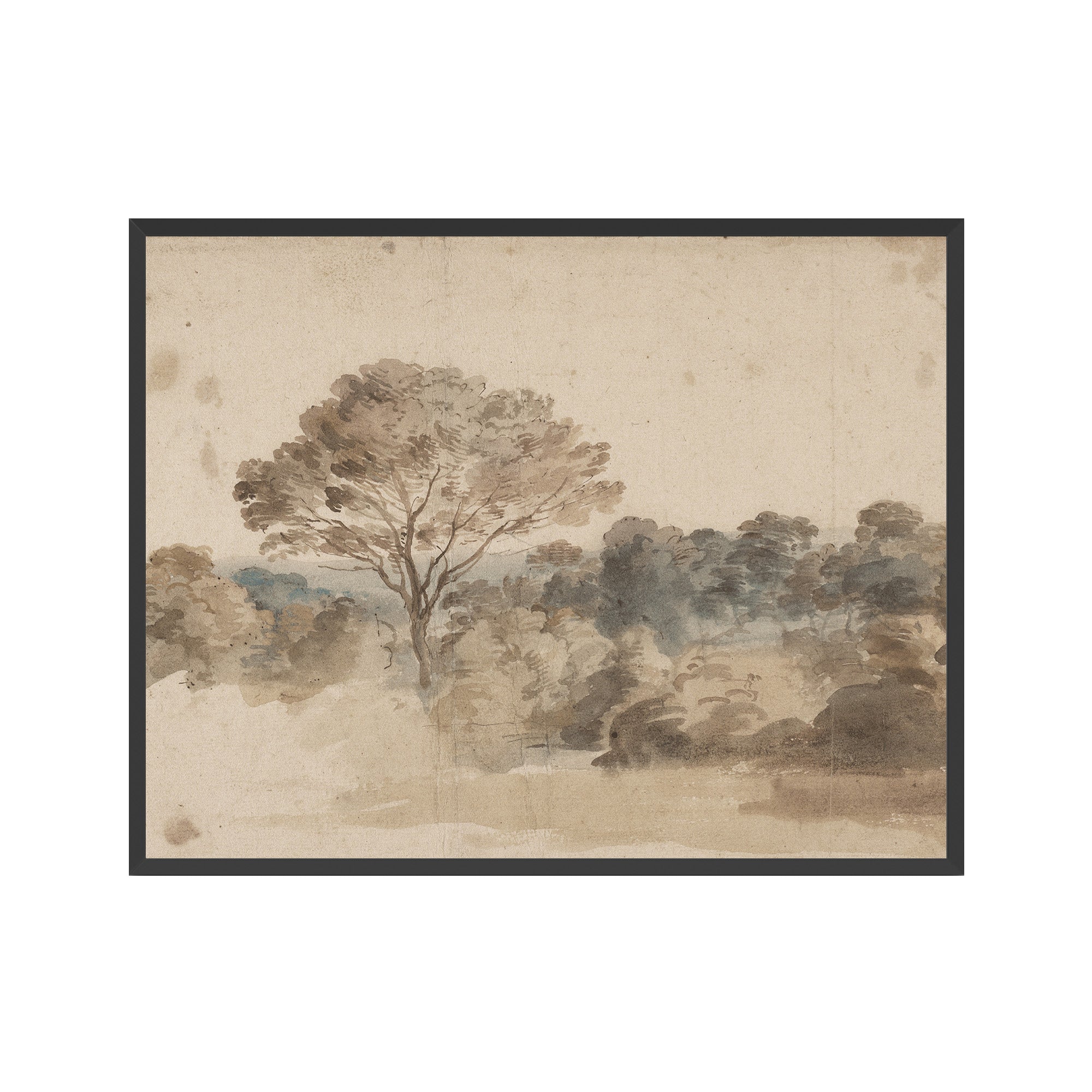 Quiet Grove