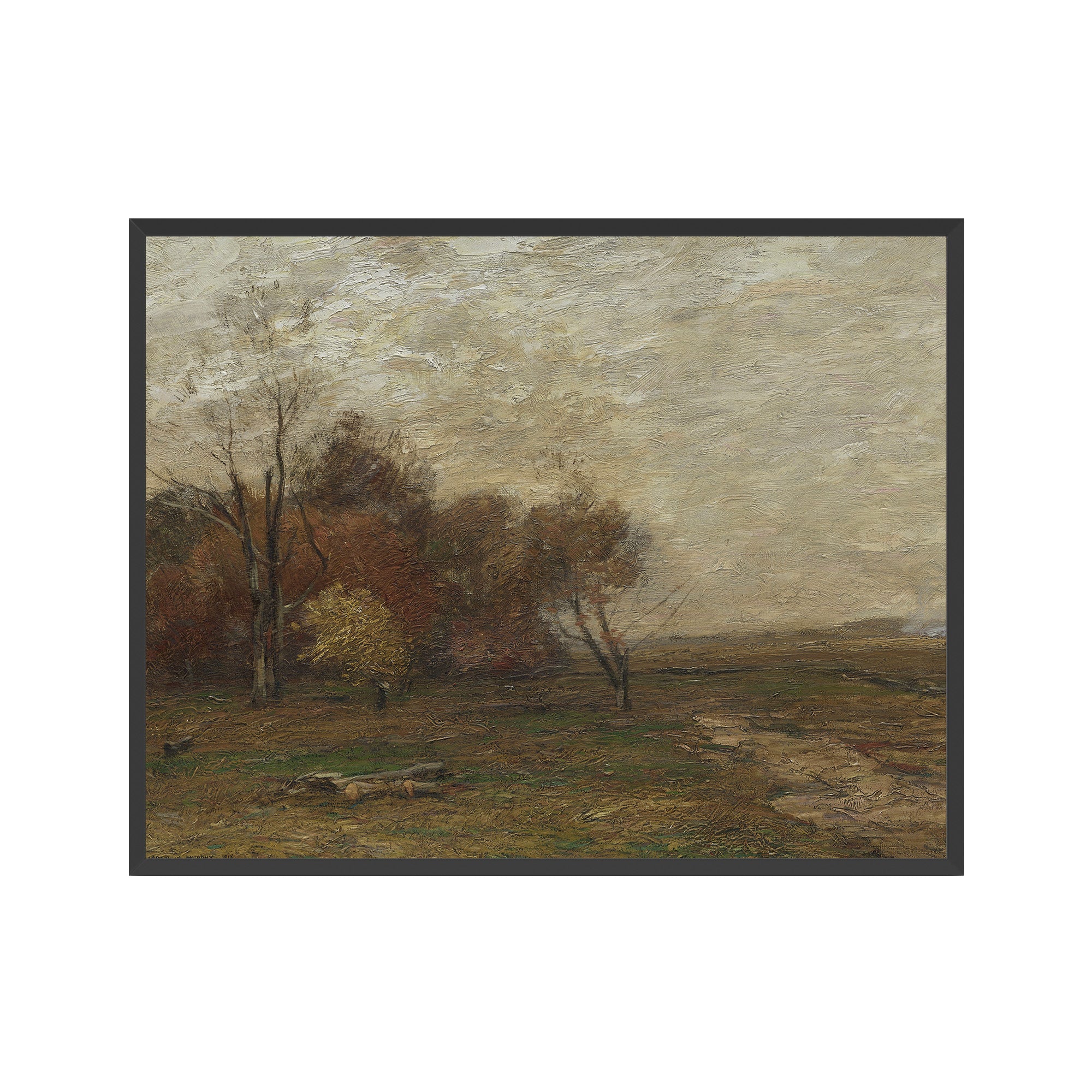 Autumn Field