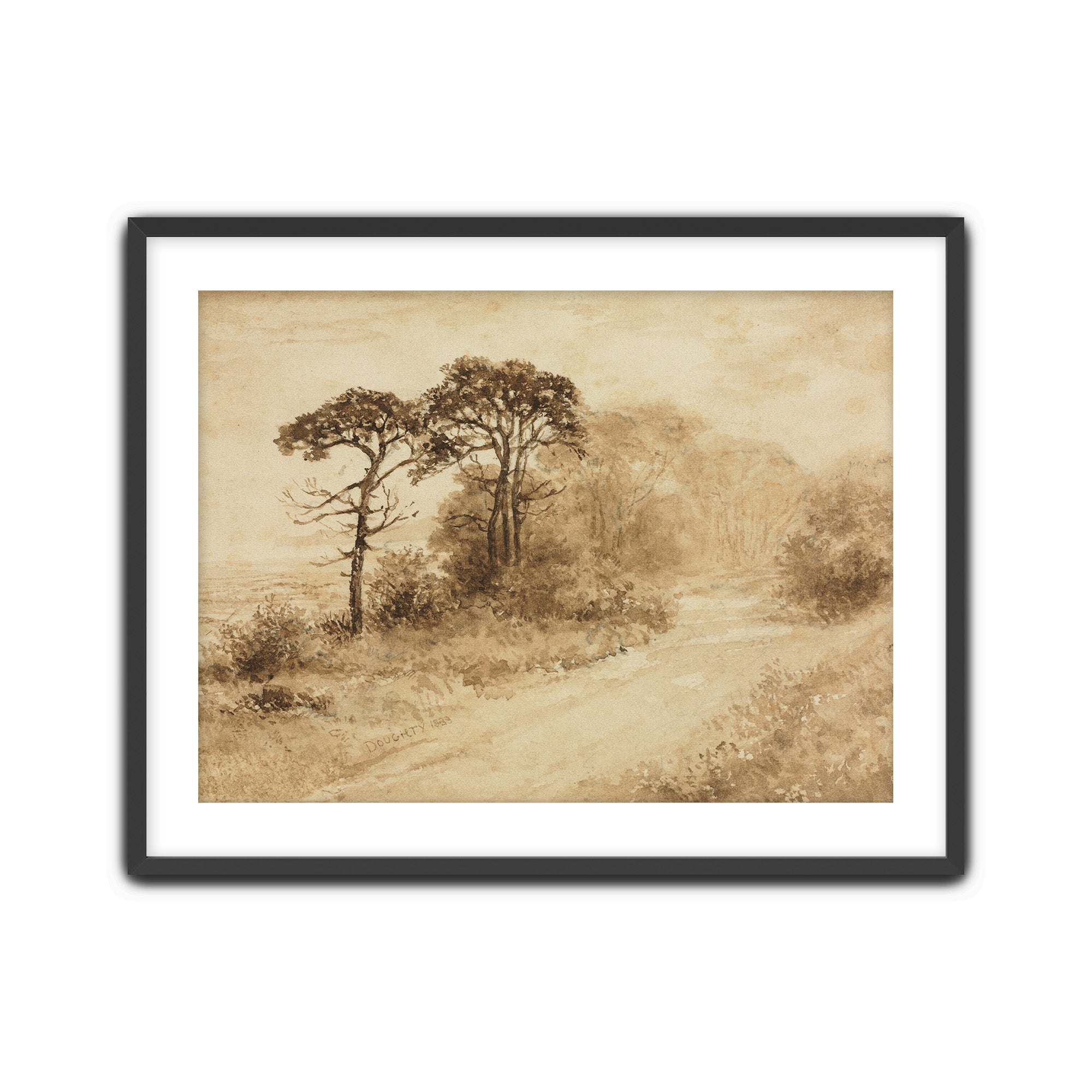 Sepia Trees