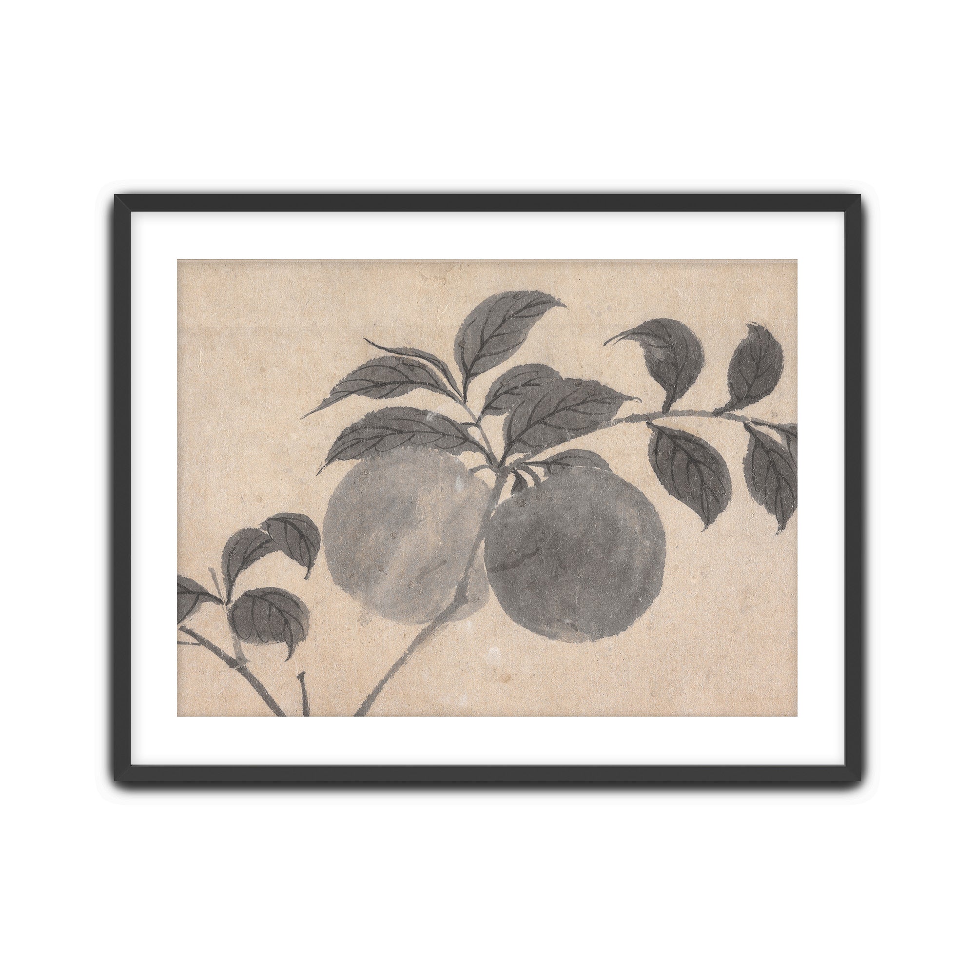 Fruit Branch Studies I
