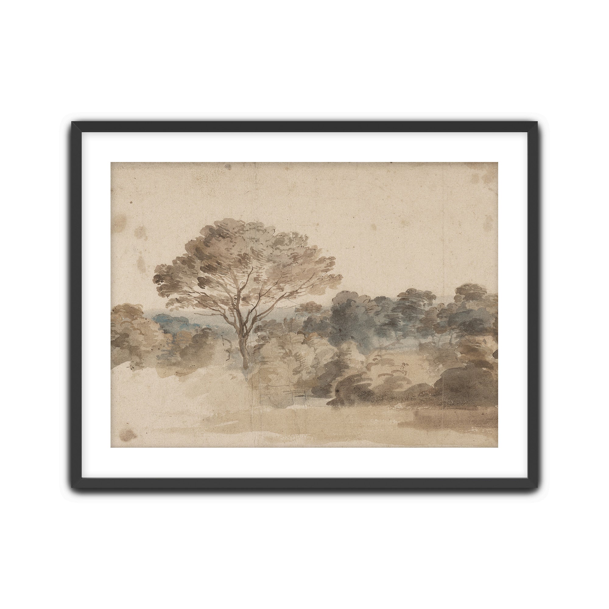 Quiet Grove
