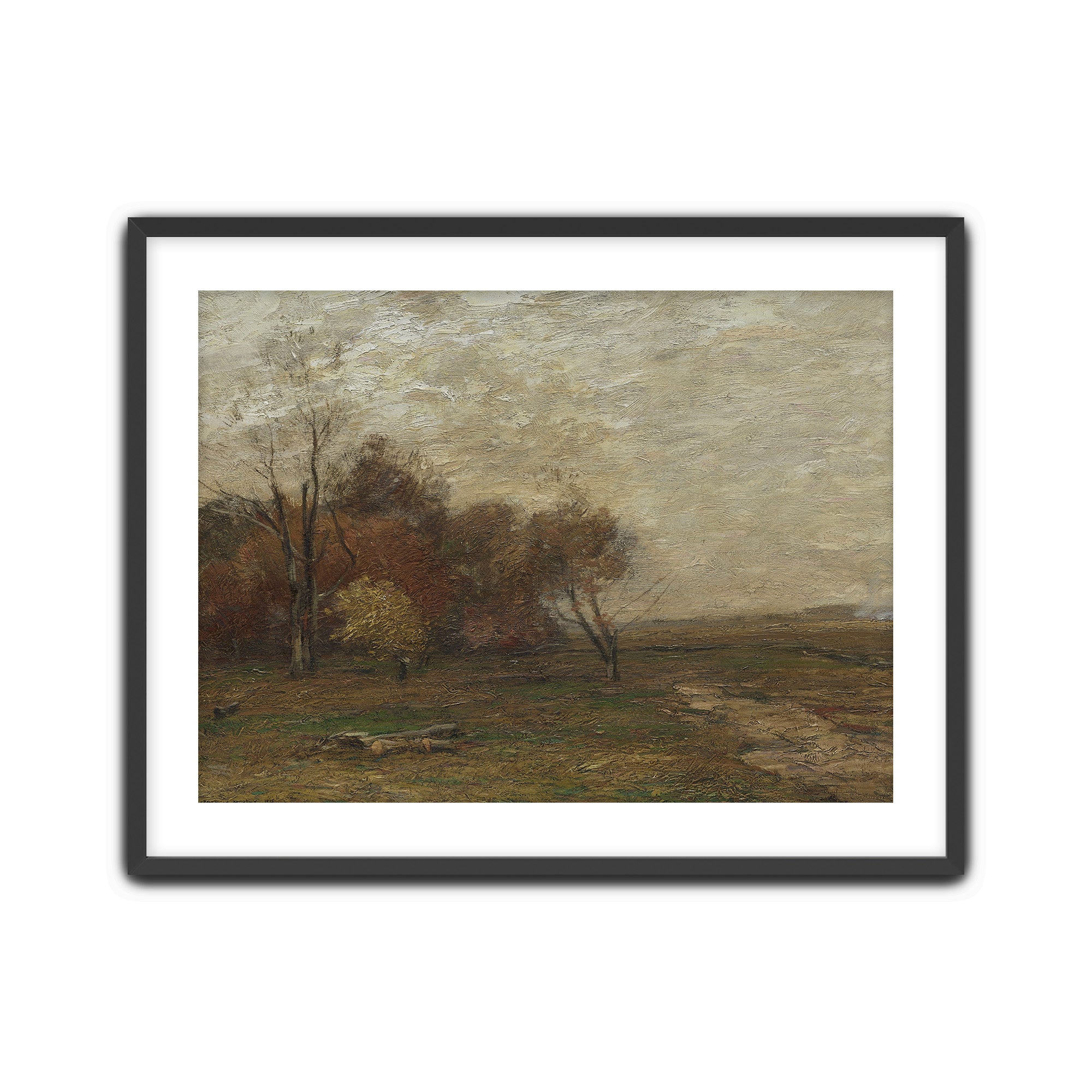 Autumn Field