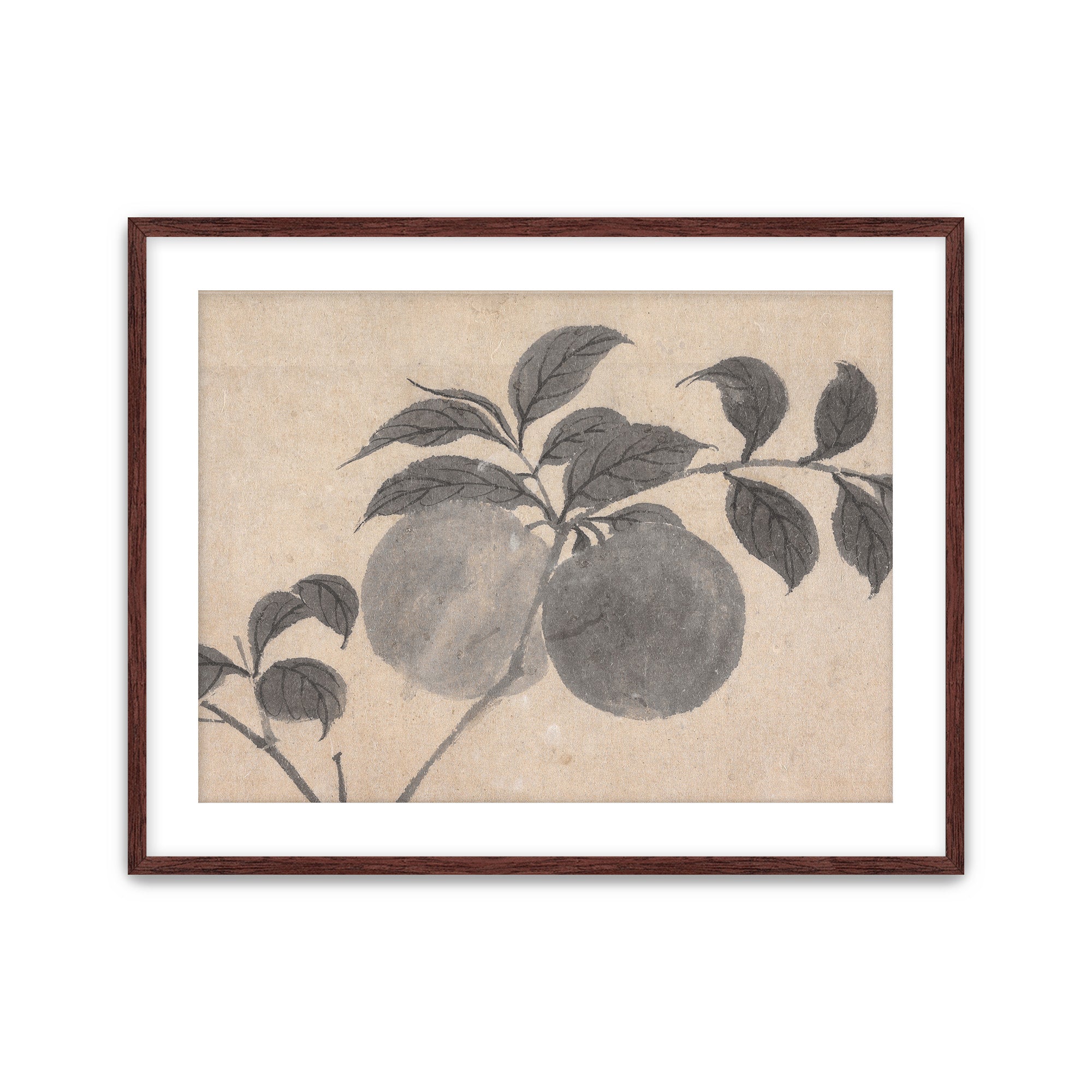 Fruit Branch Studies I