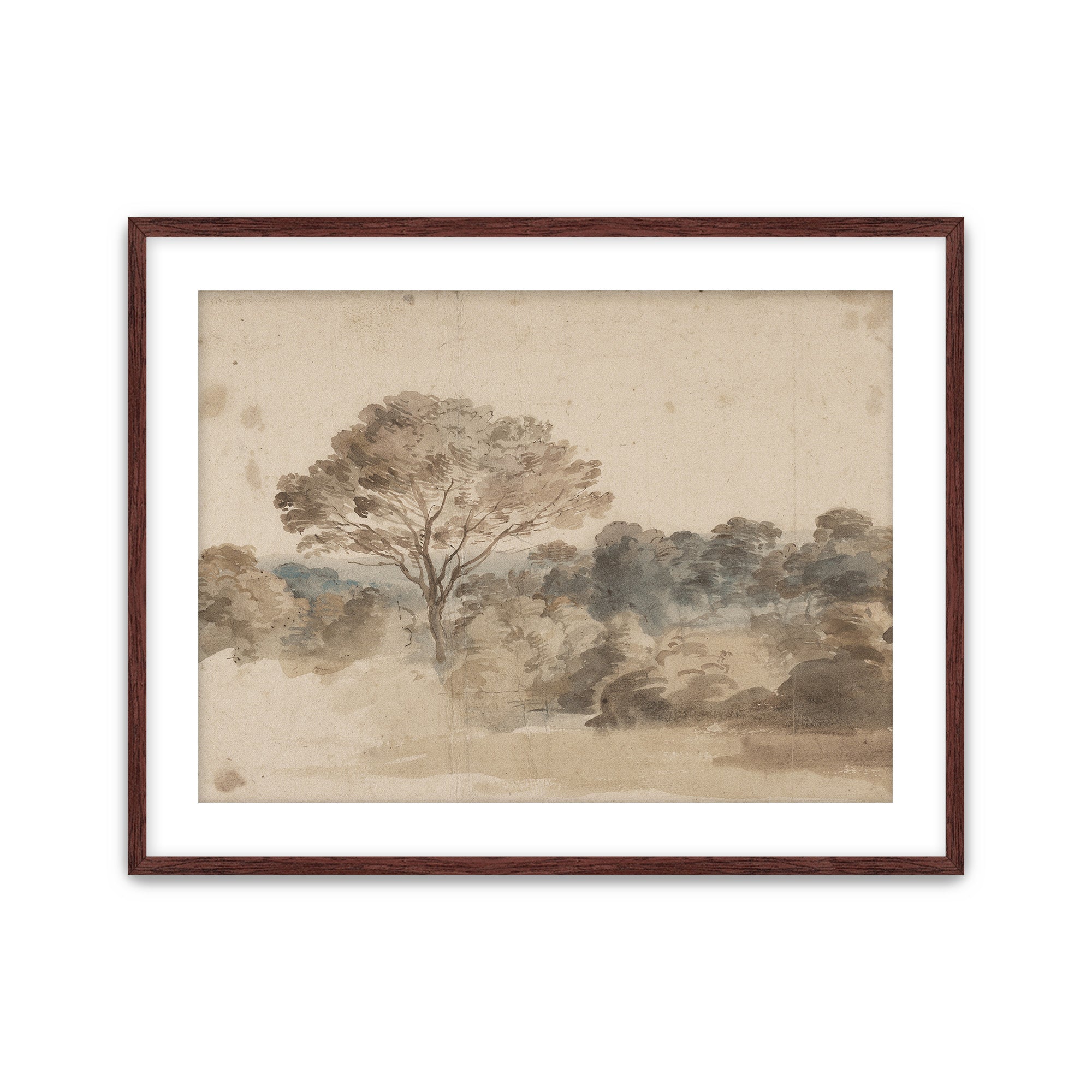 Quiet Grove