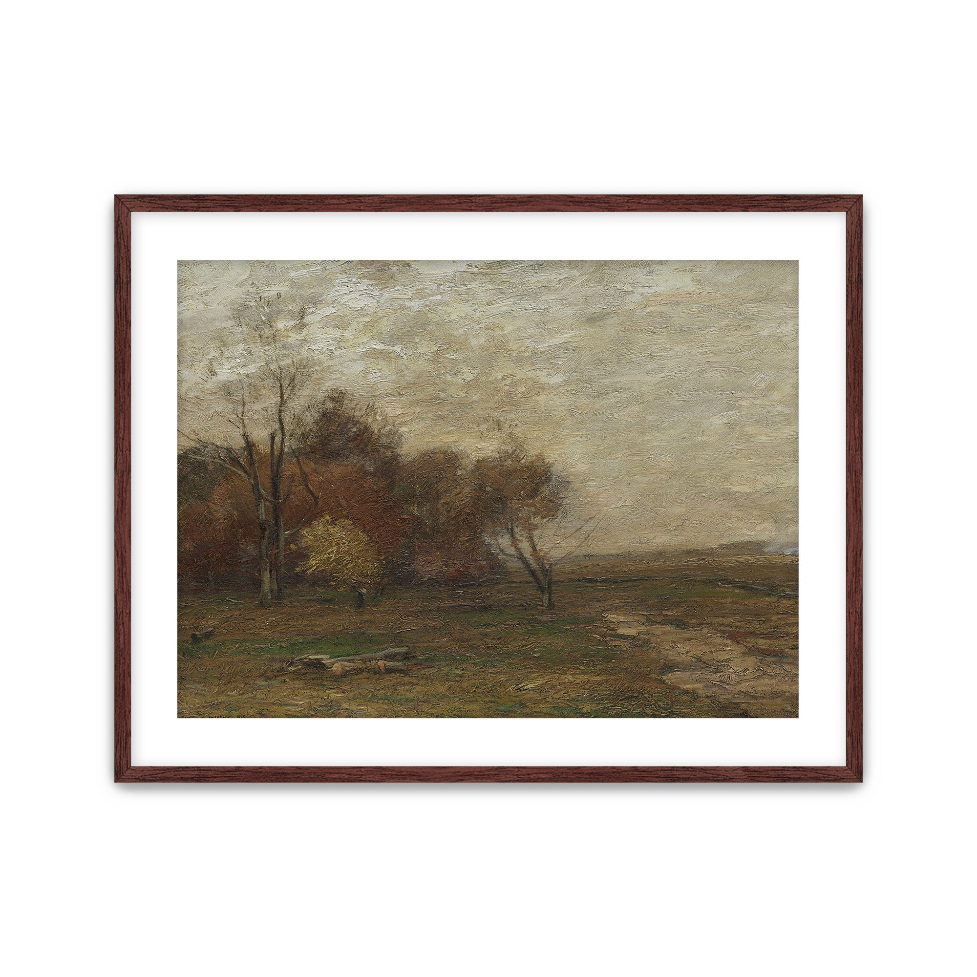 Autumn Field