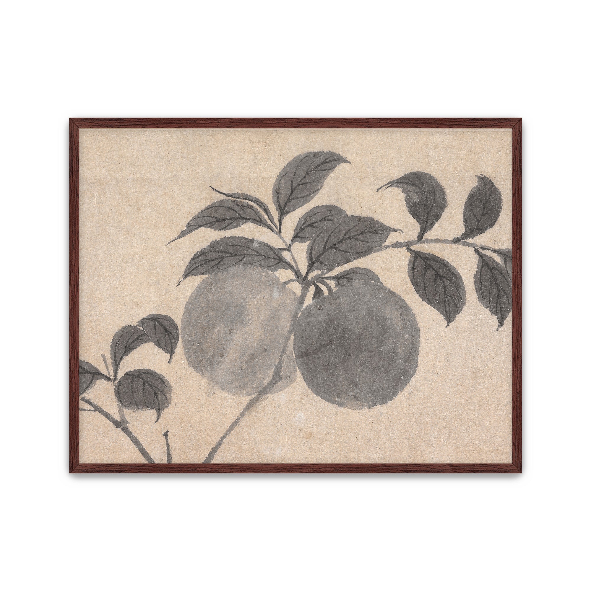 Fruit Branch Studies I