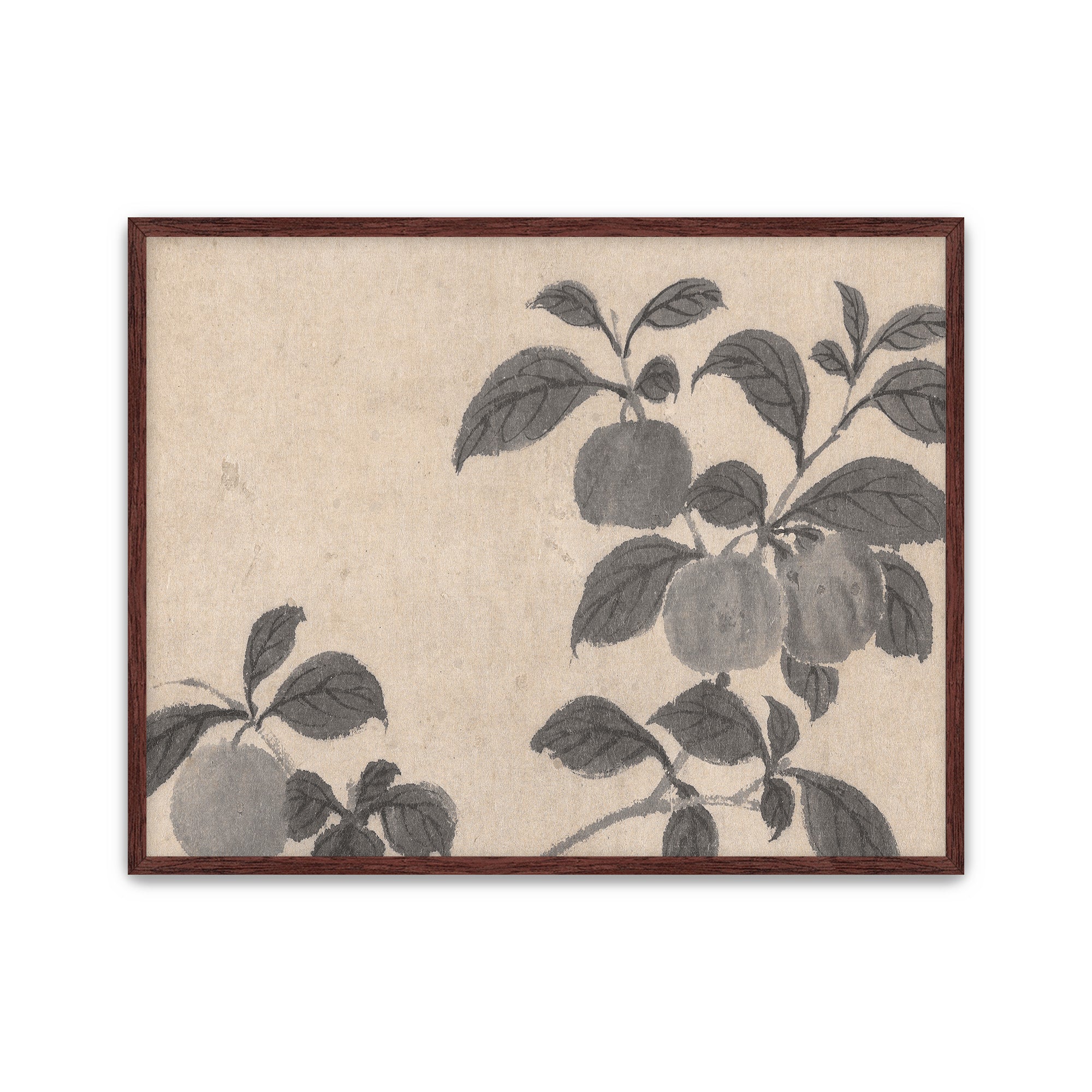 Fruit Branch Studies 2