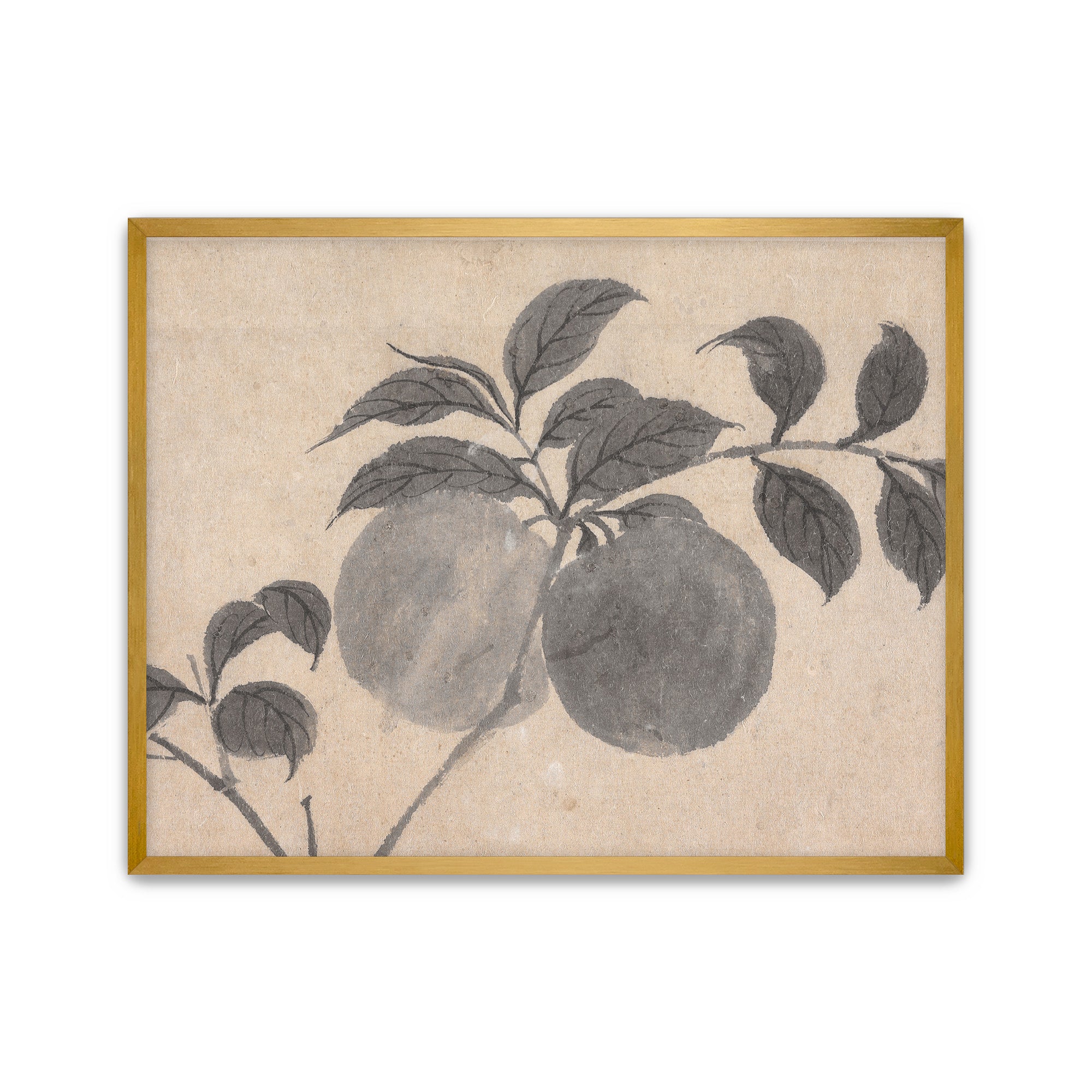 Fruit Branch Studies I