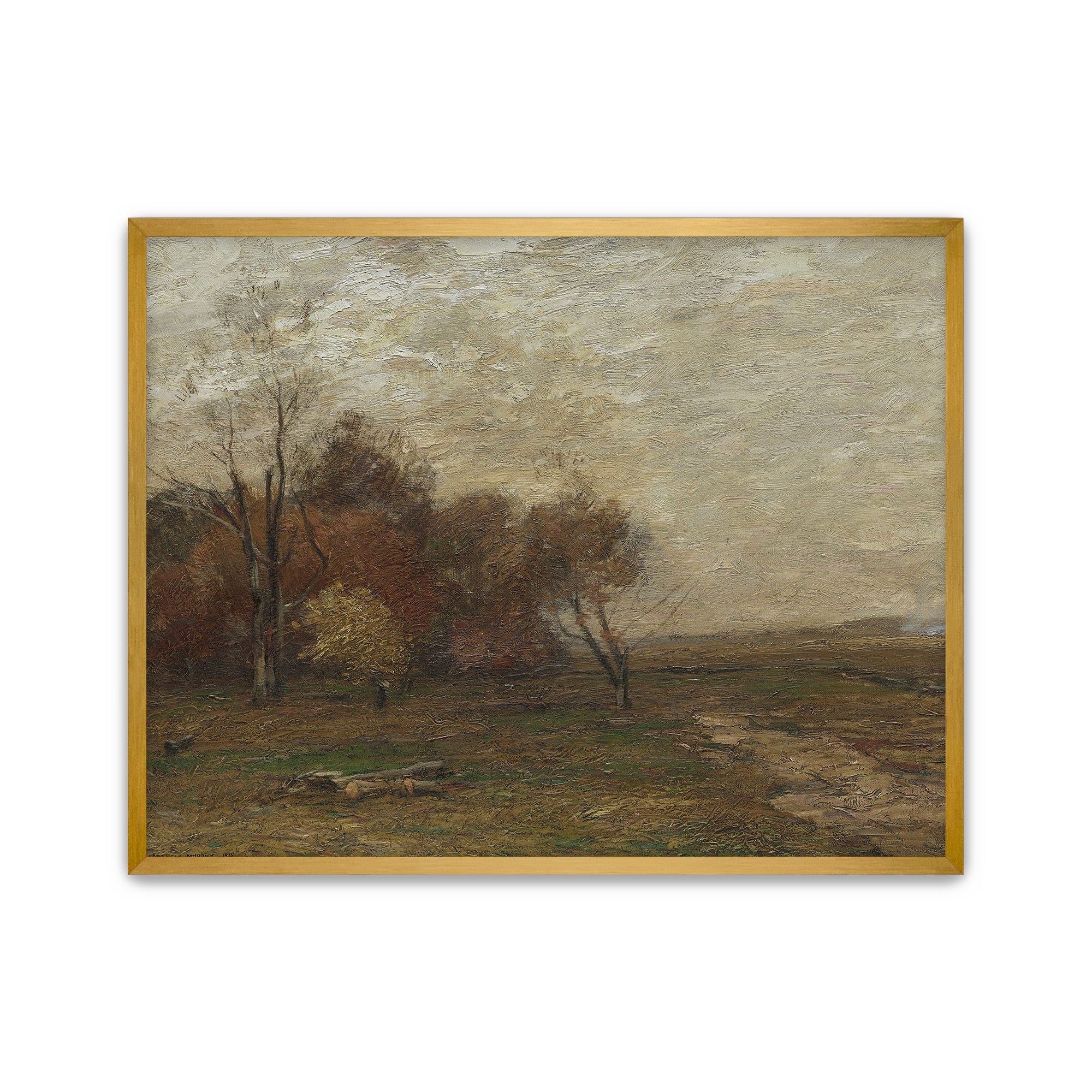 Autumn Field