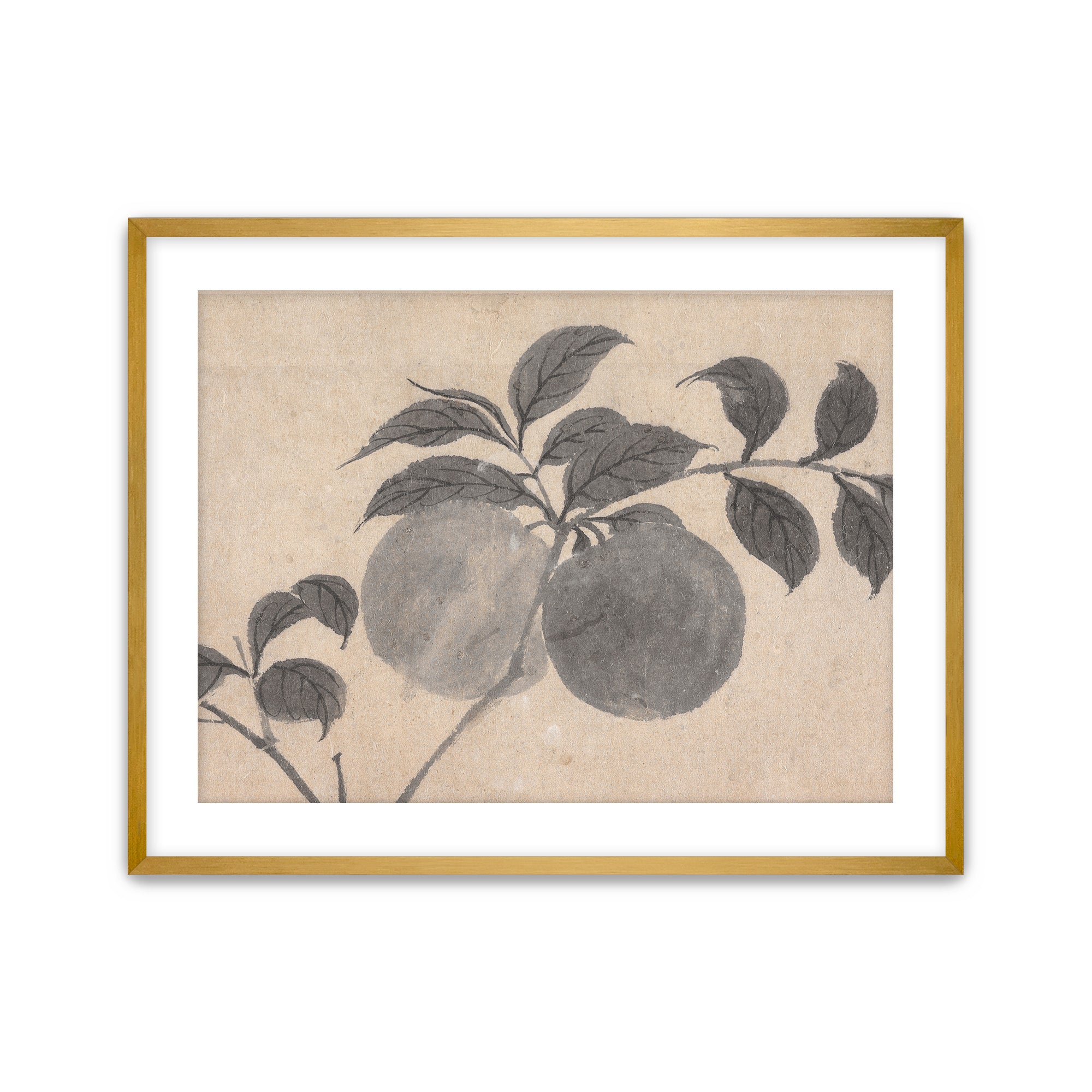 Fruit Branch Studies I