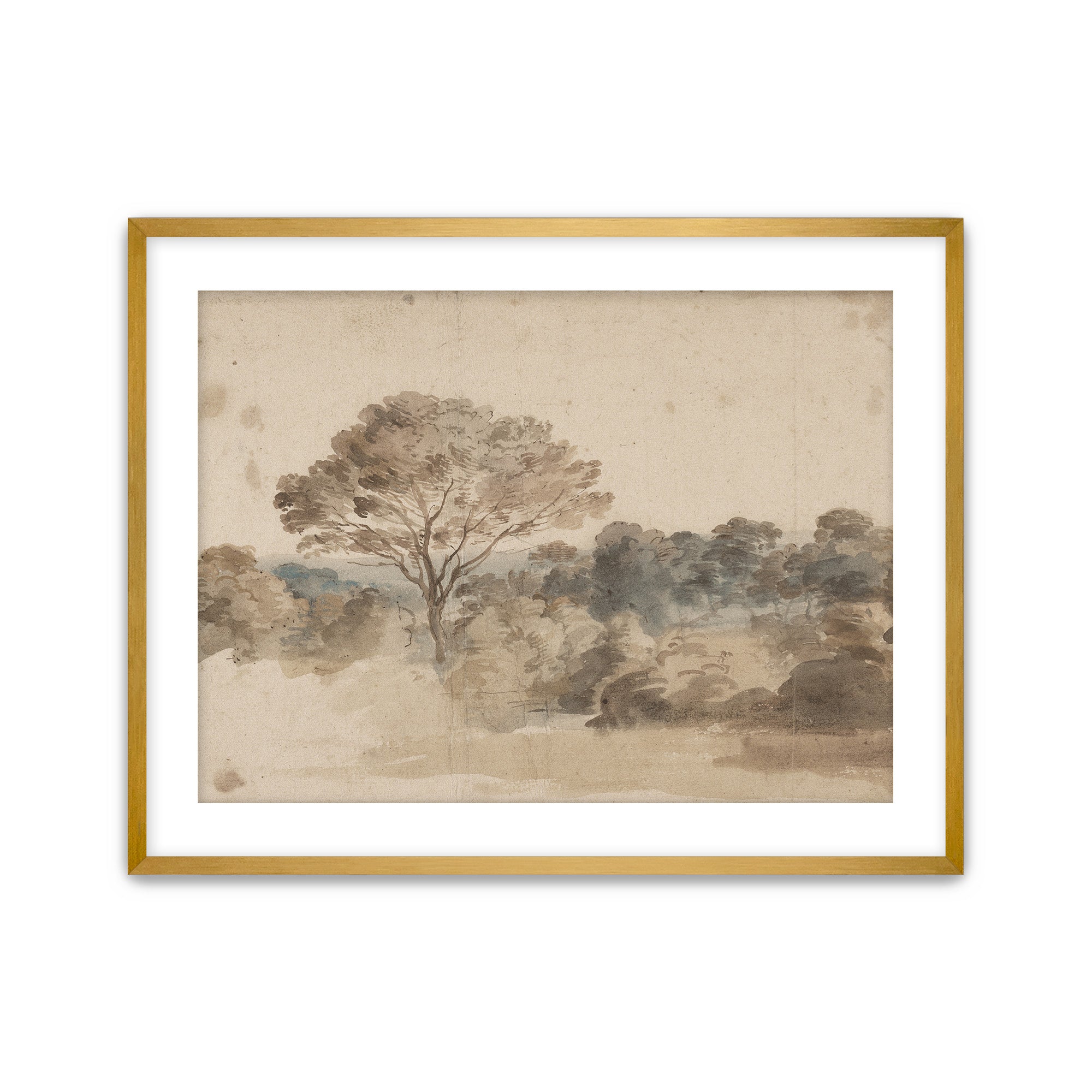 Quiet Grove