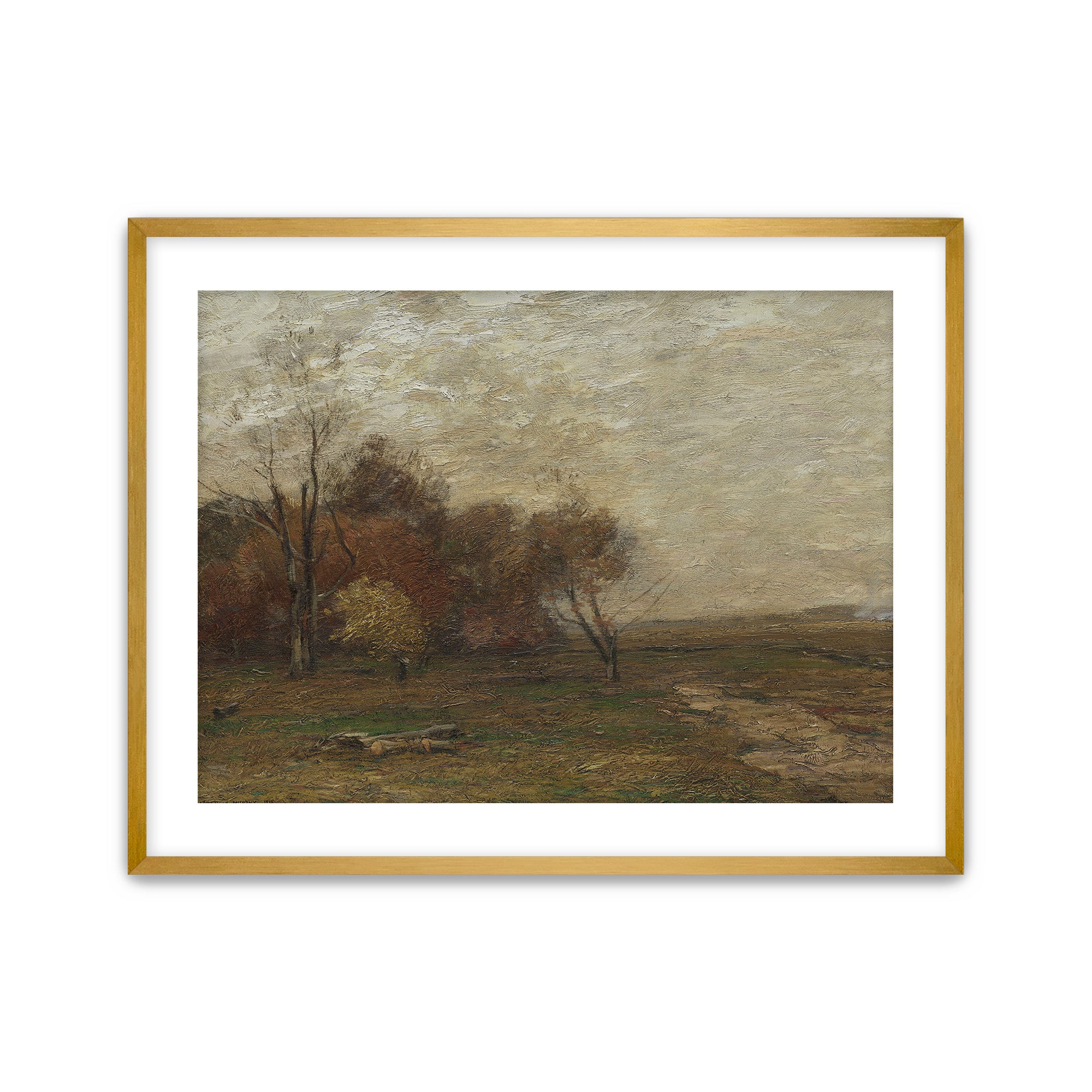 Autumn Field