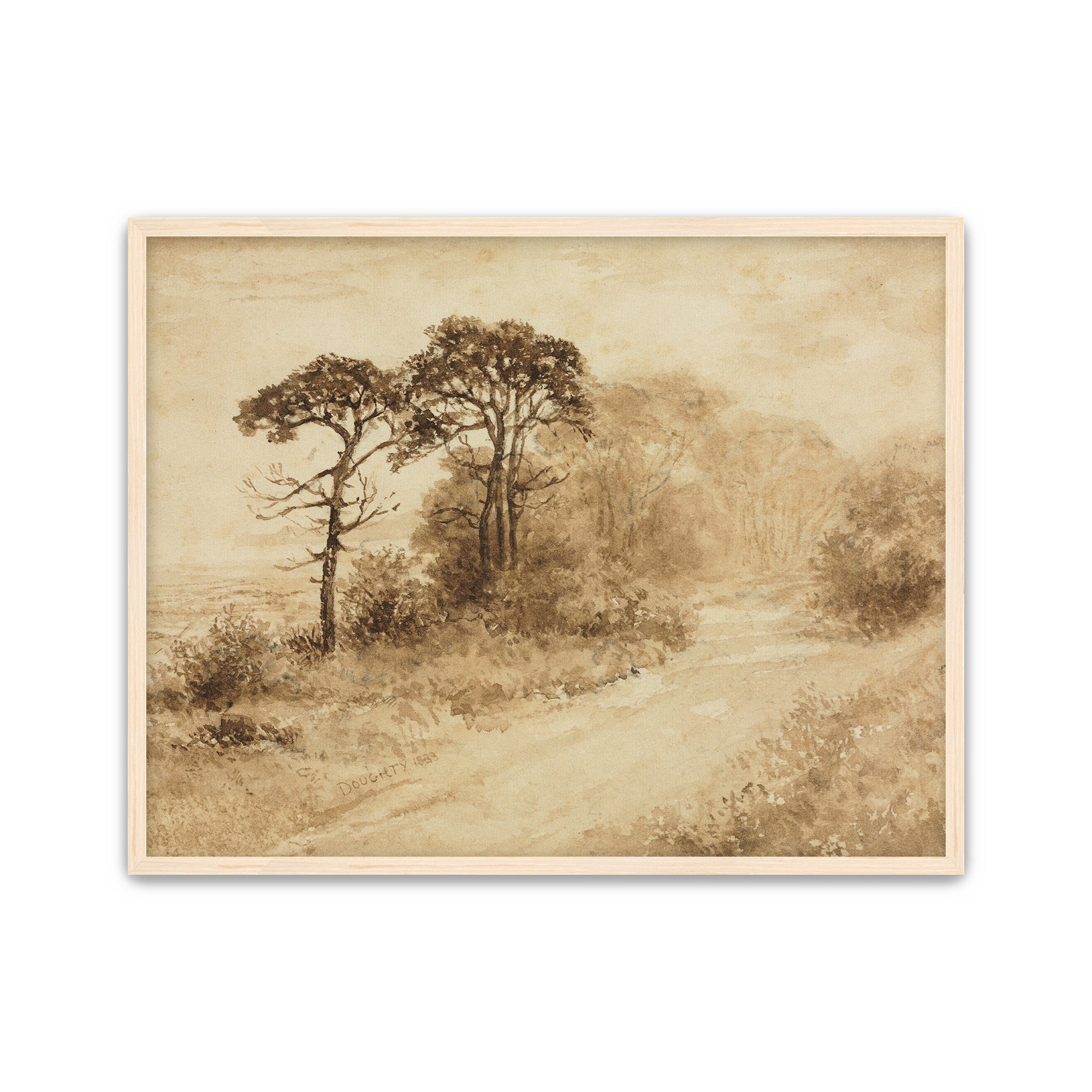 Light Wood