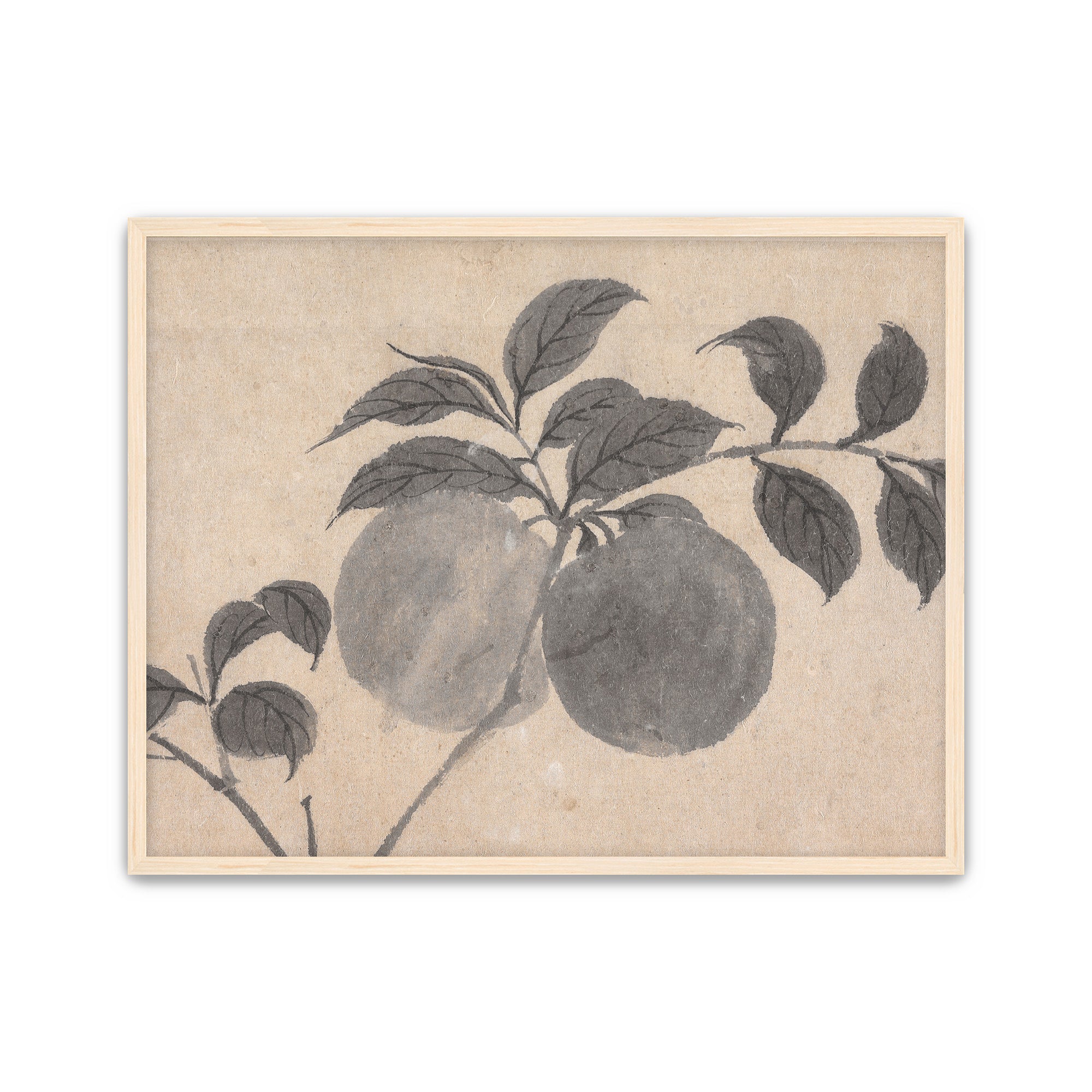 Fruit Branch Studies I