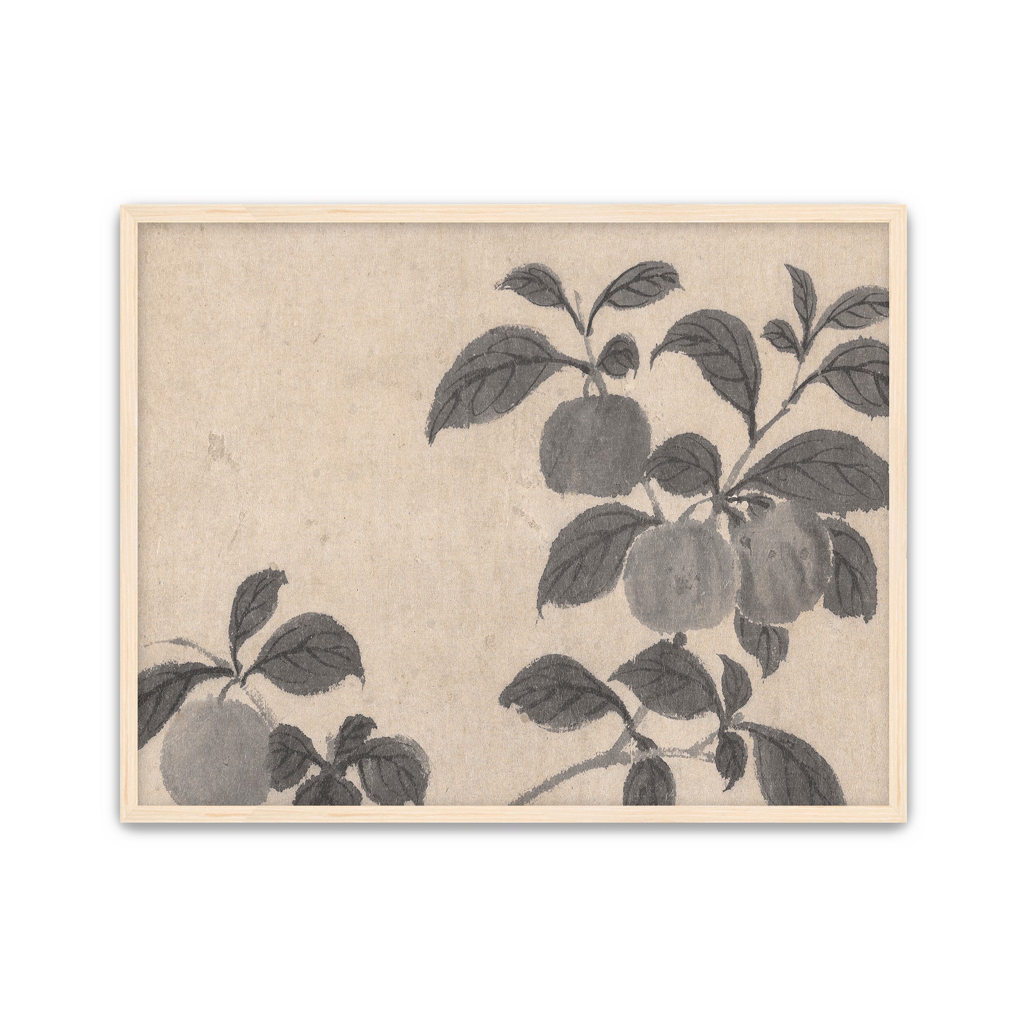 Fruit Branch Studies 2