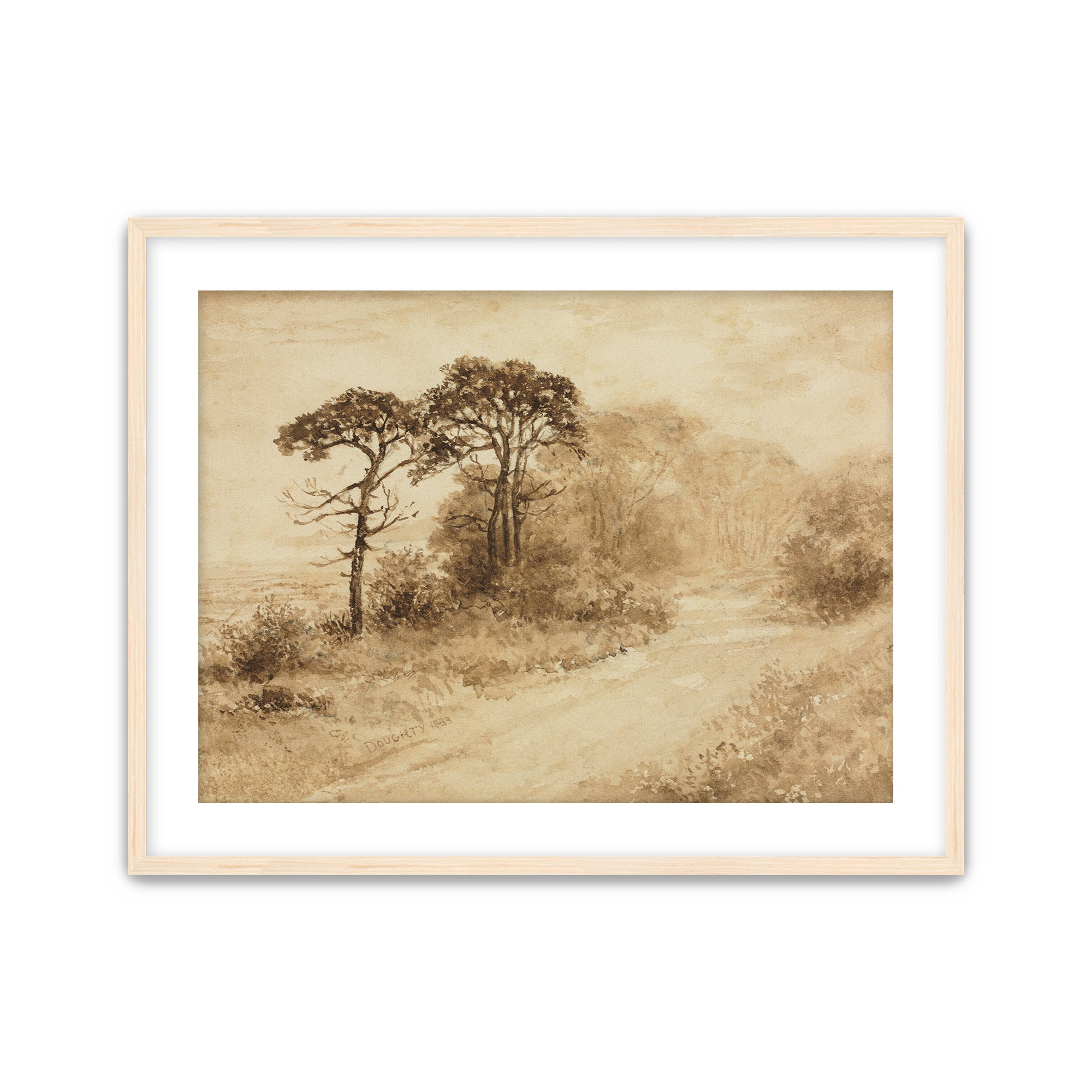 Sepia Trees