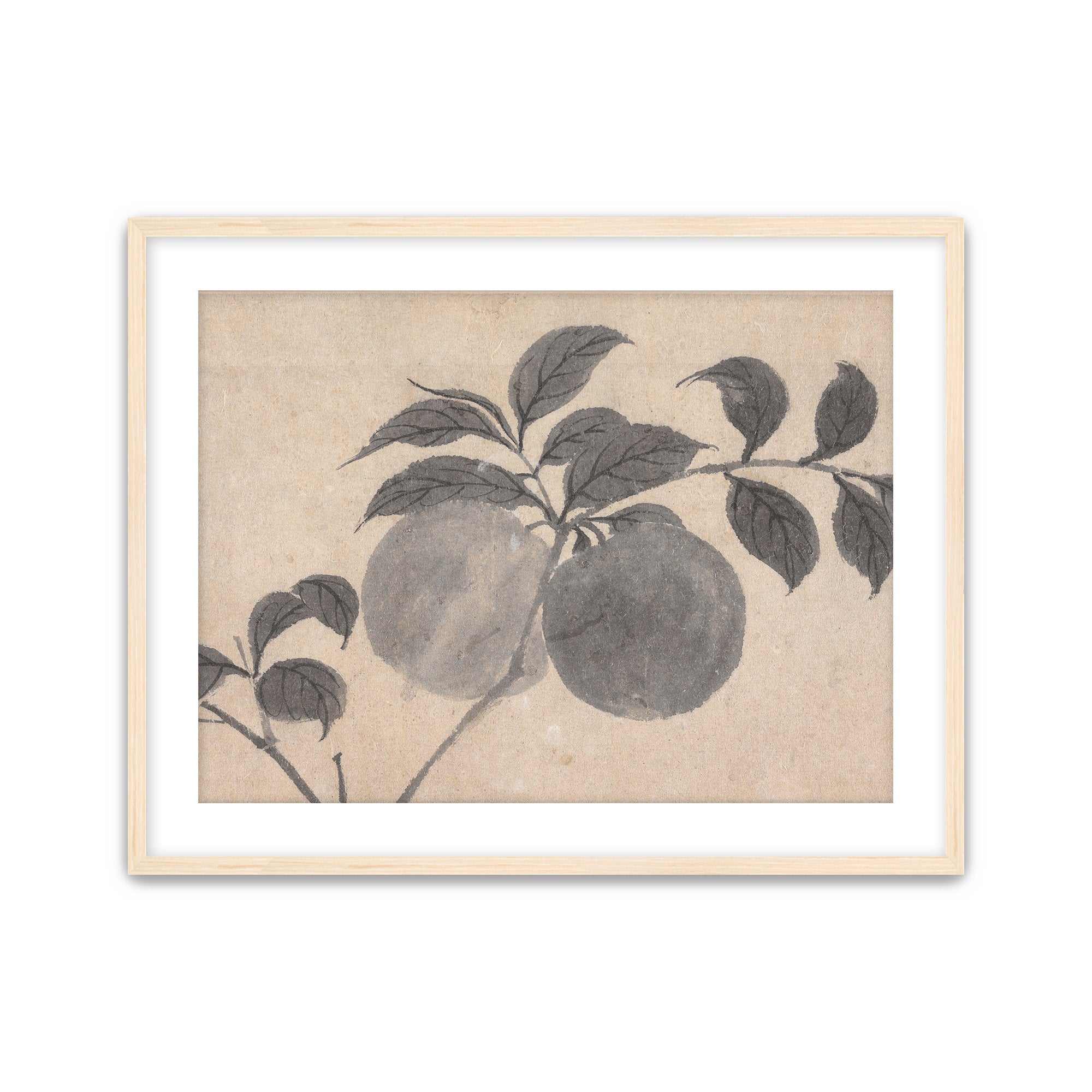 Fruit Branch Studies I