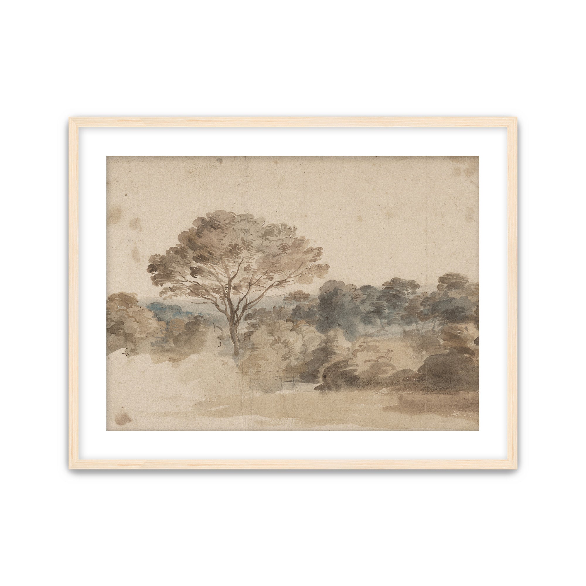 Quiet Grove