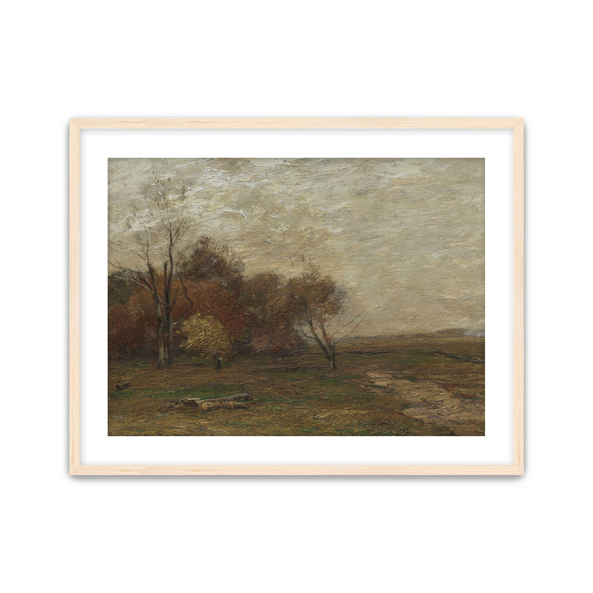 Autumn Field