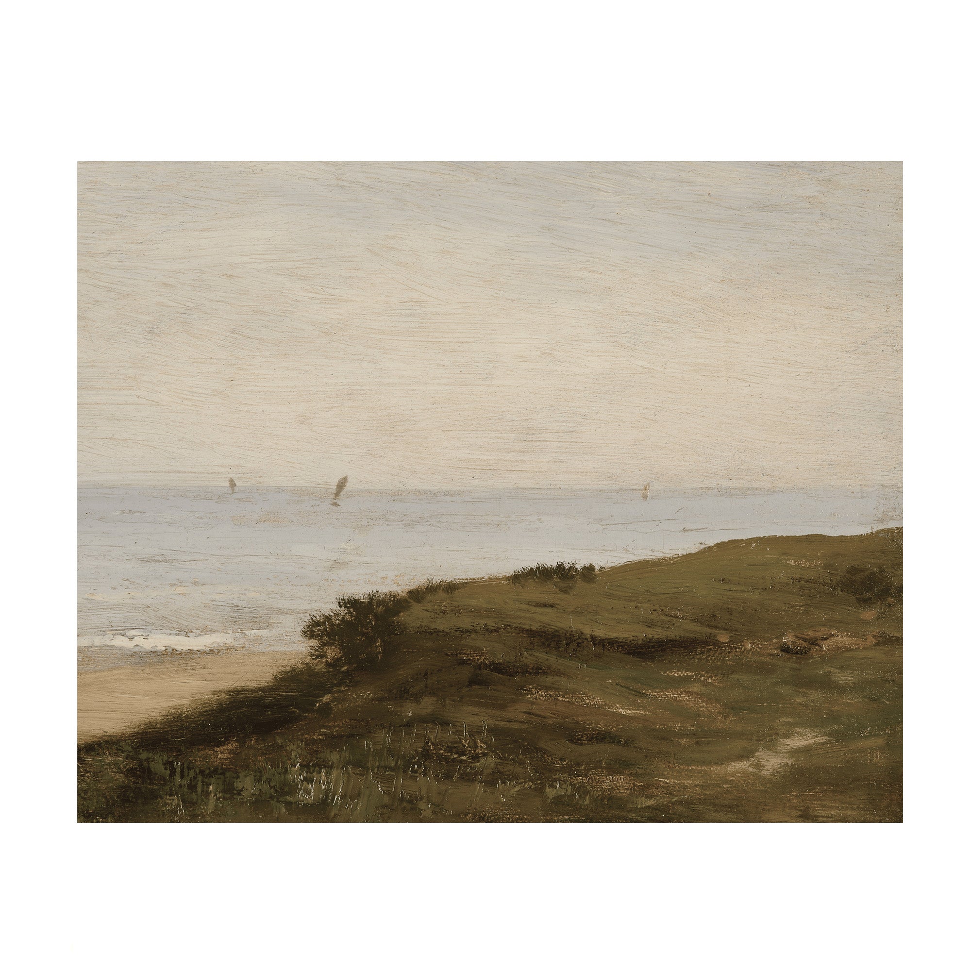 Grasses by the Sea