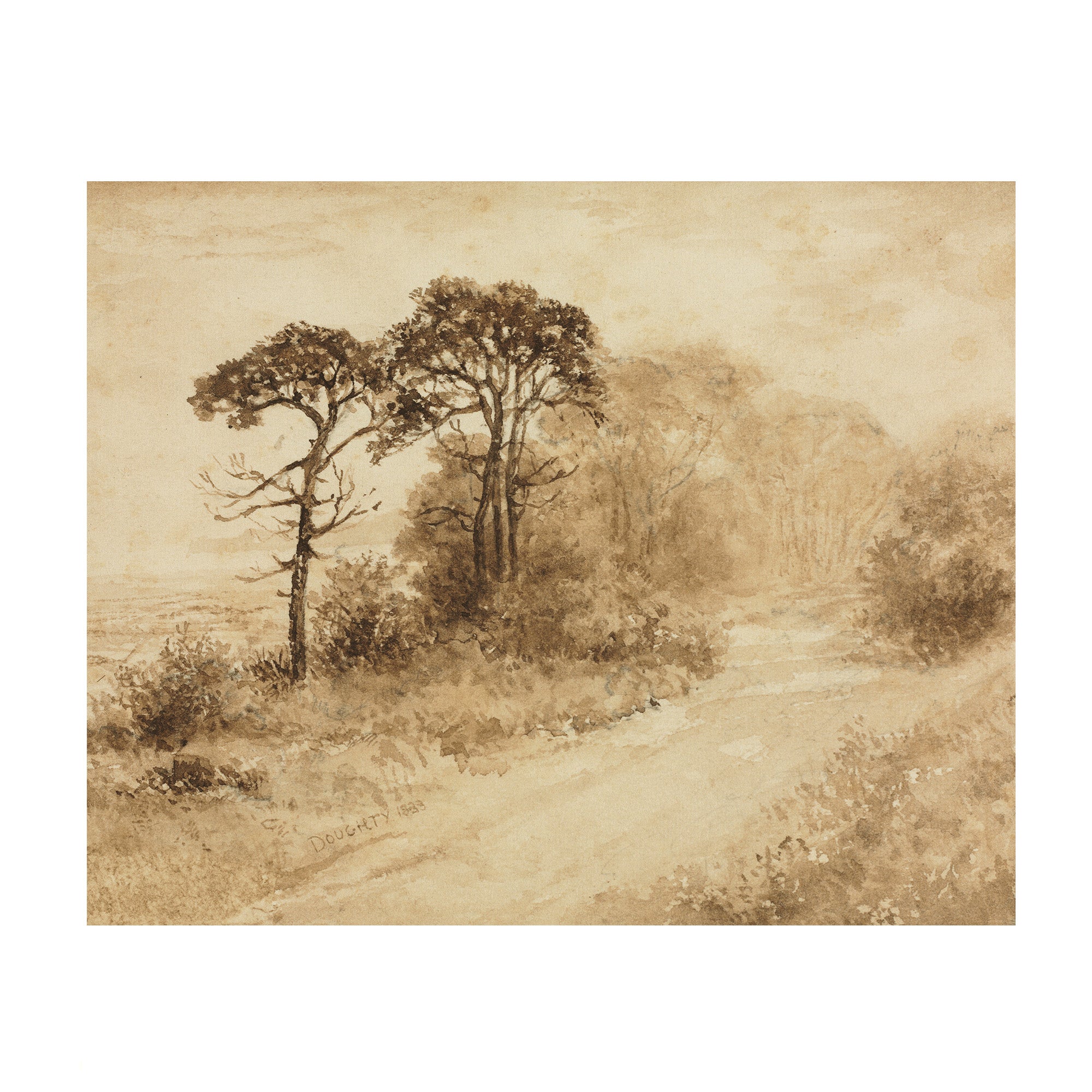 Sepia Trees