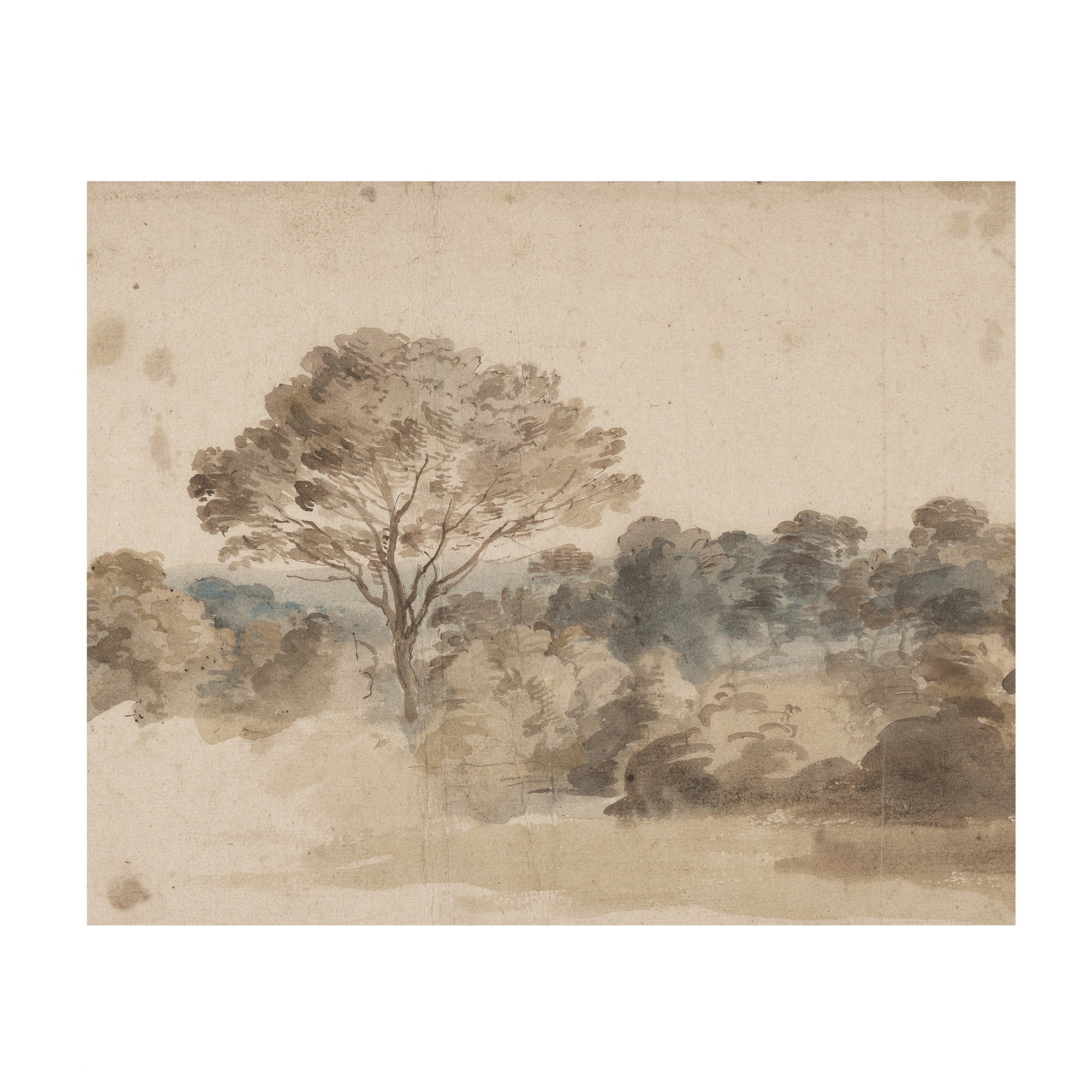 Quiet Grove