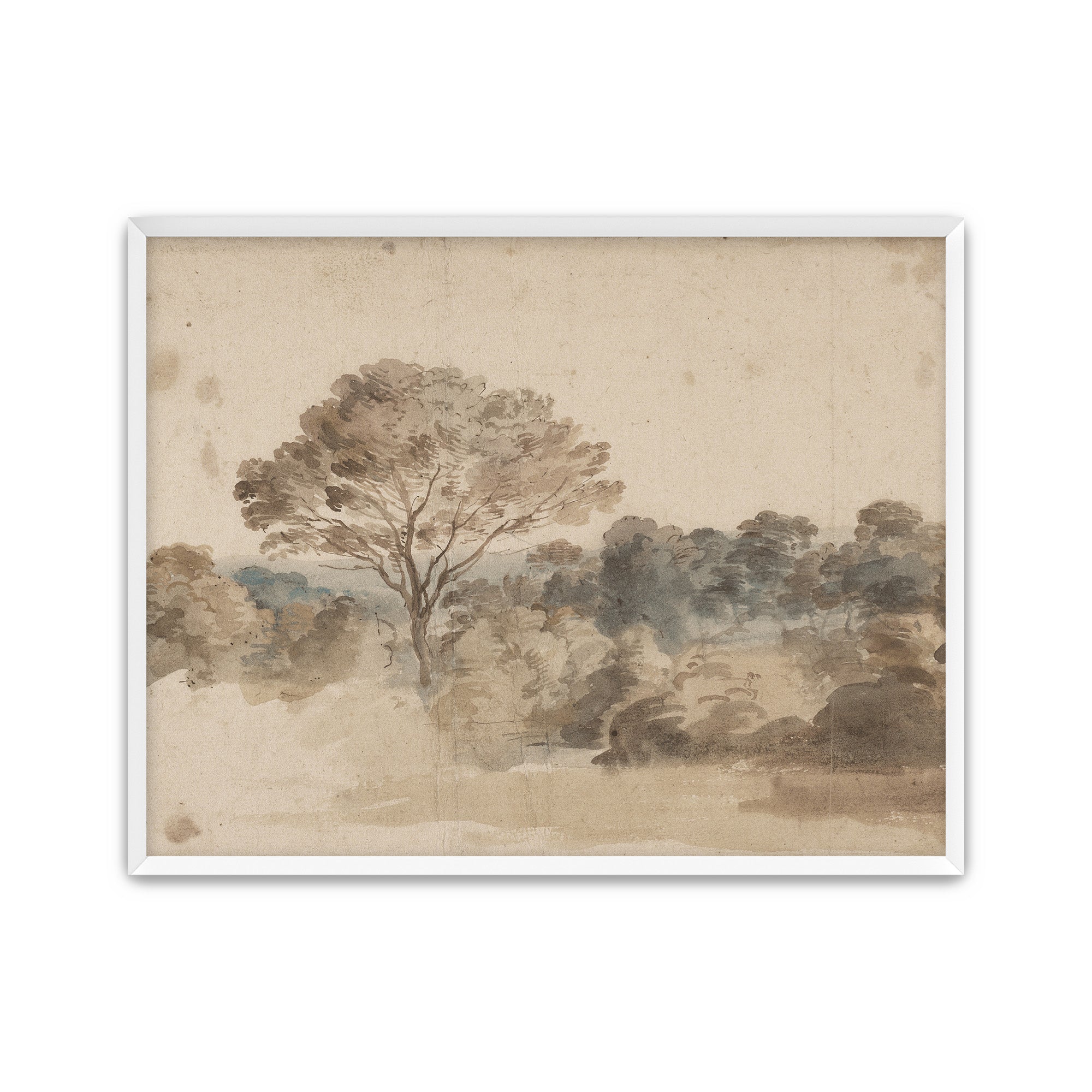 Quiet Grove
