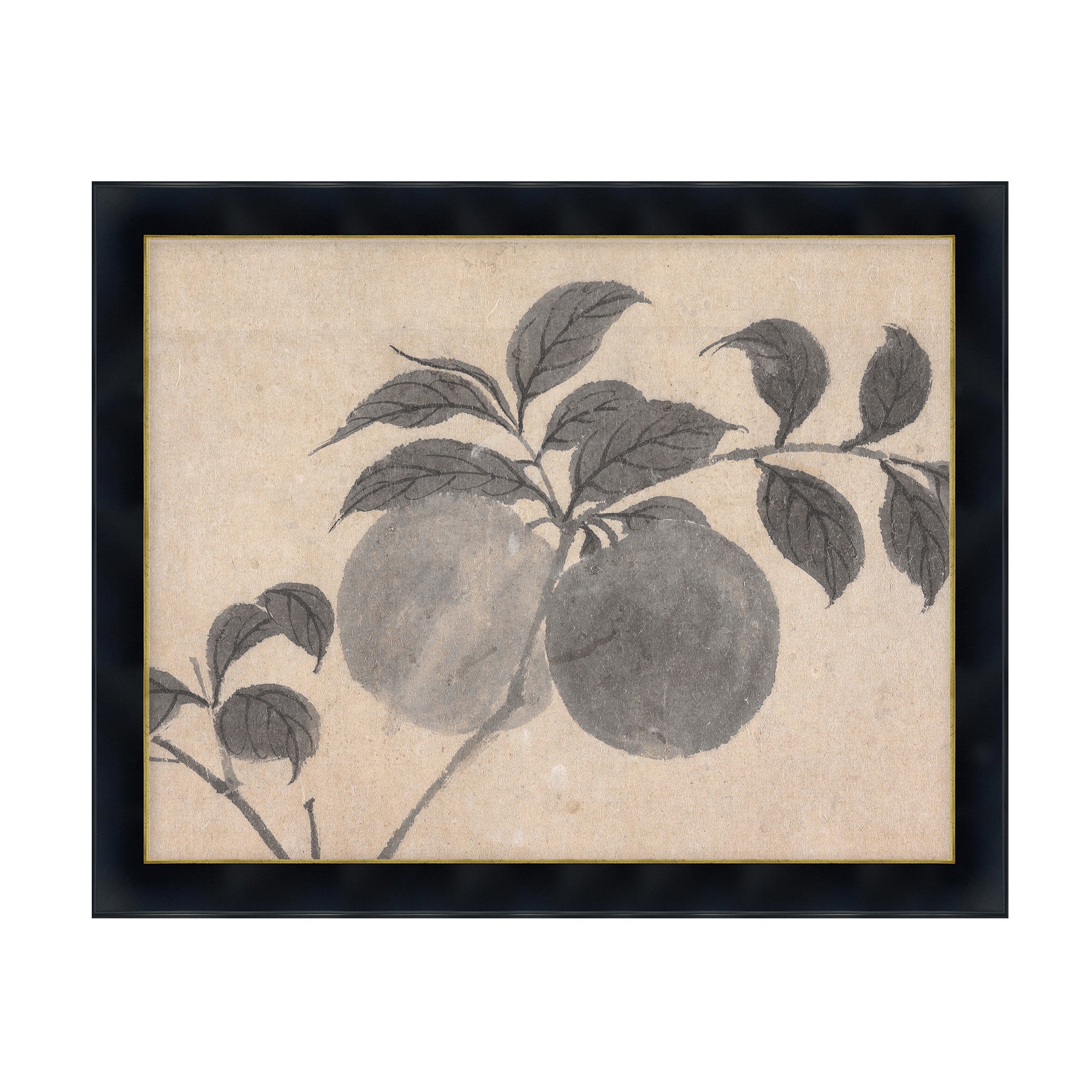 Fruit Branch Studies I