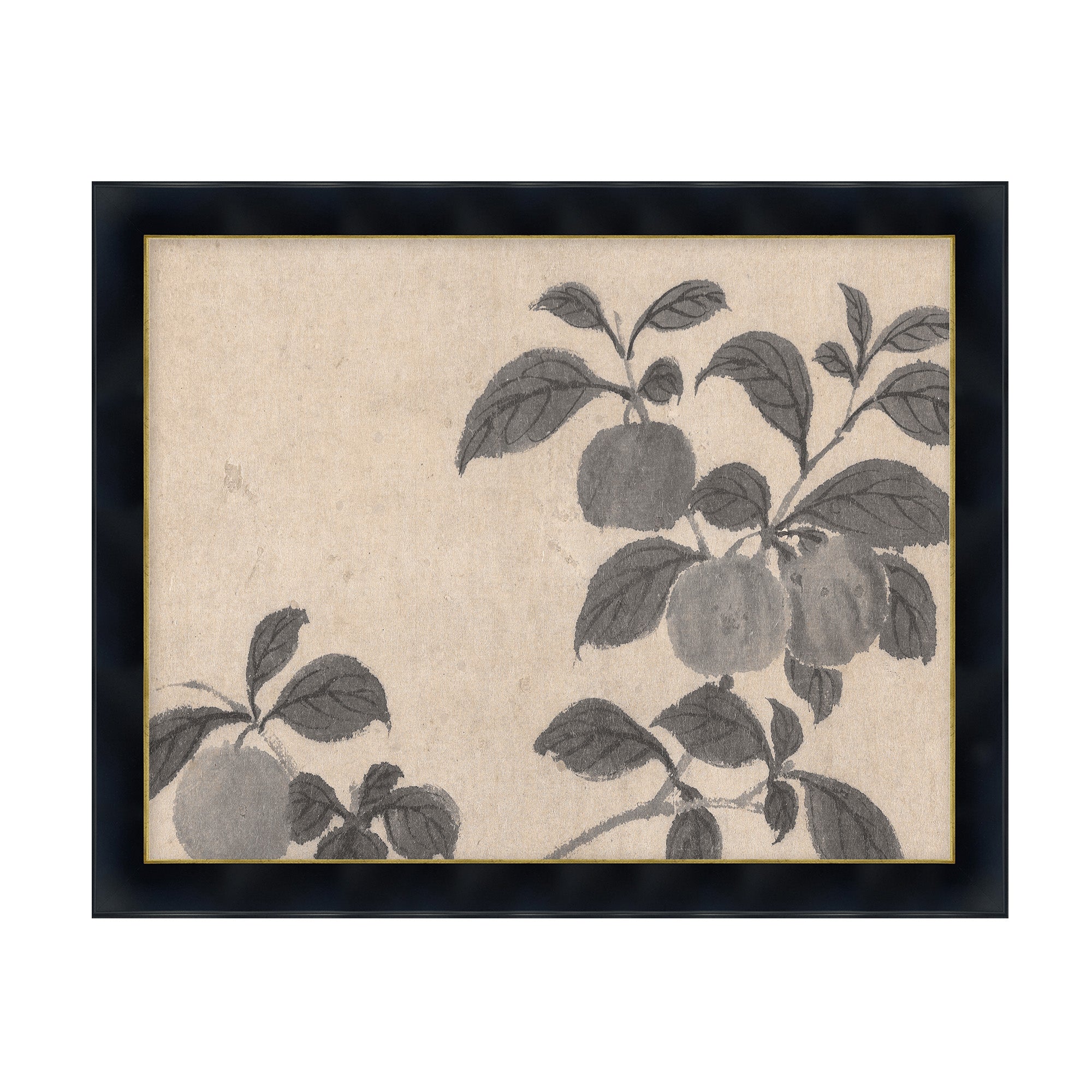 Fruit Branch Studies 2