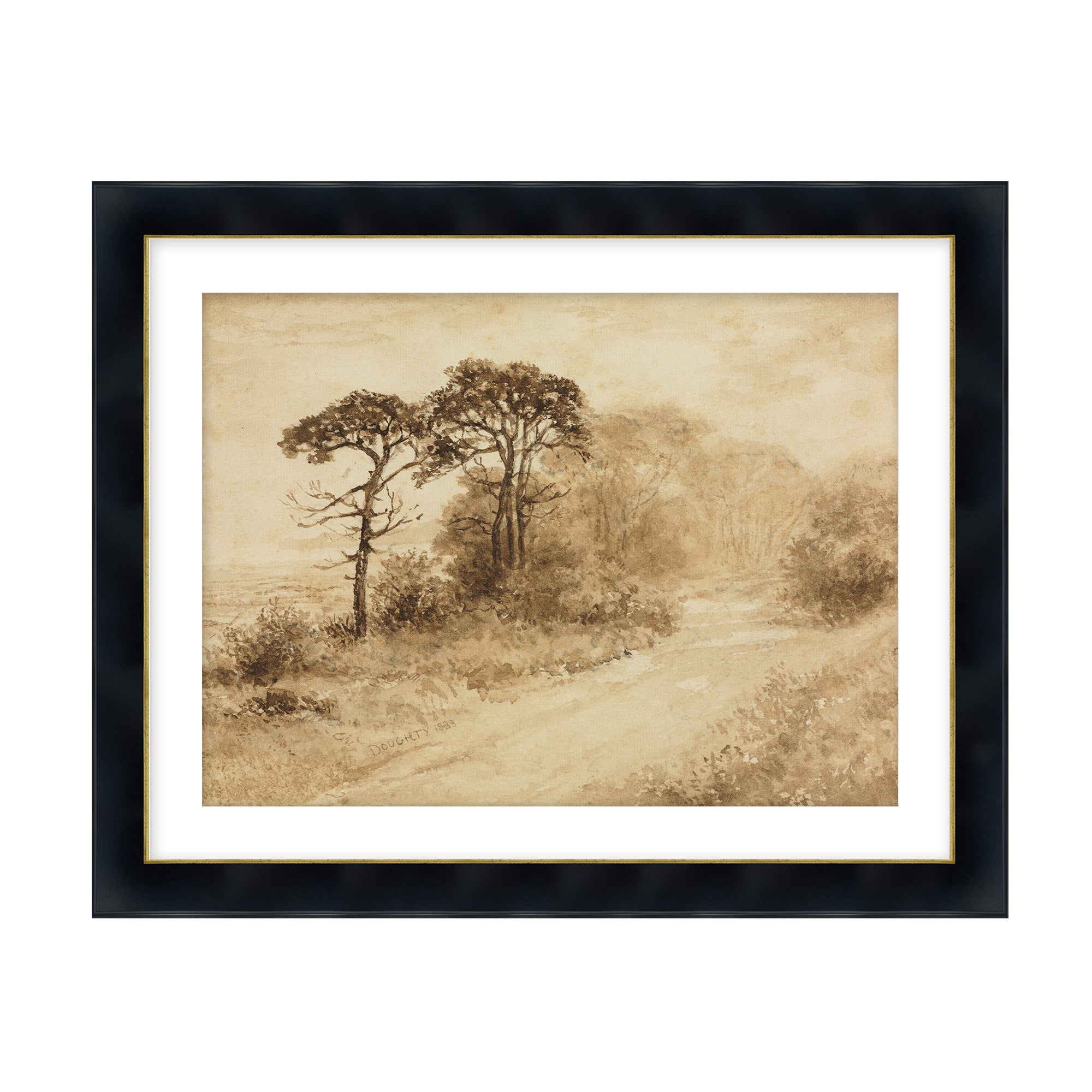 Sepia Trees