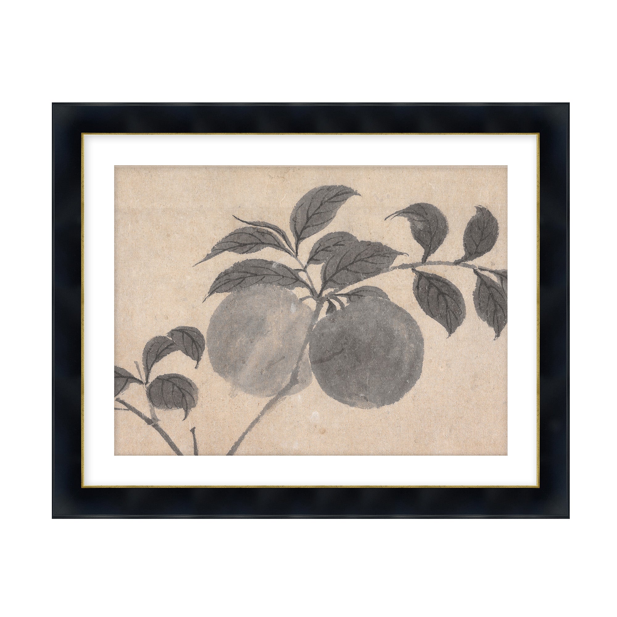 Fruit Branch Studies I