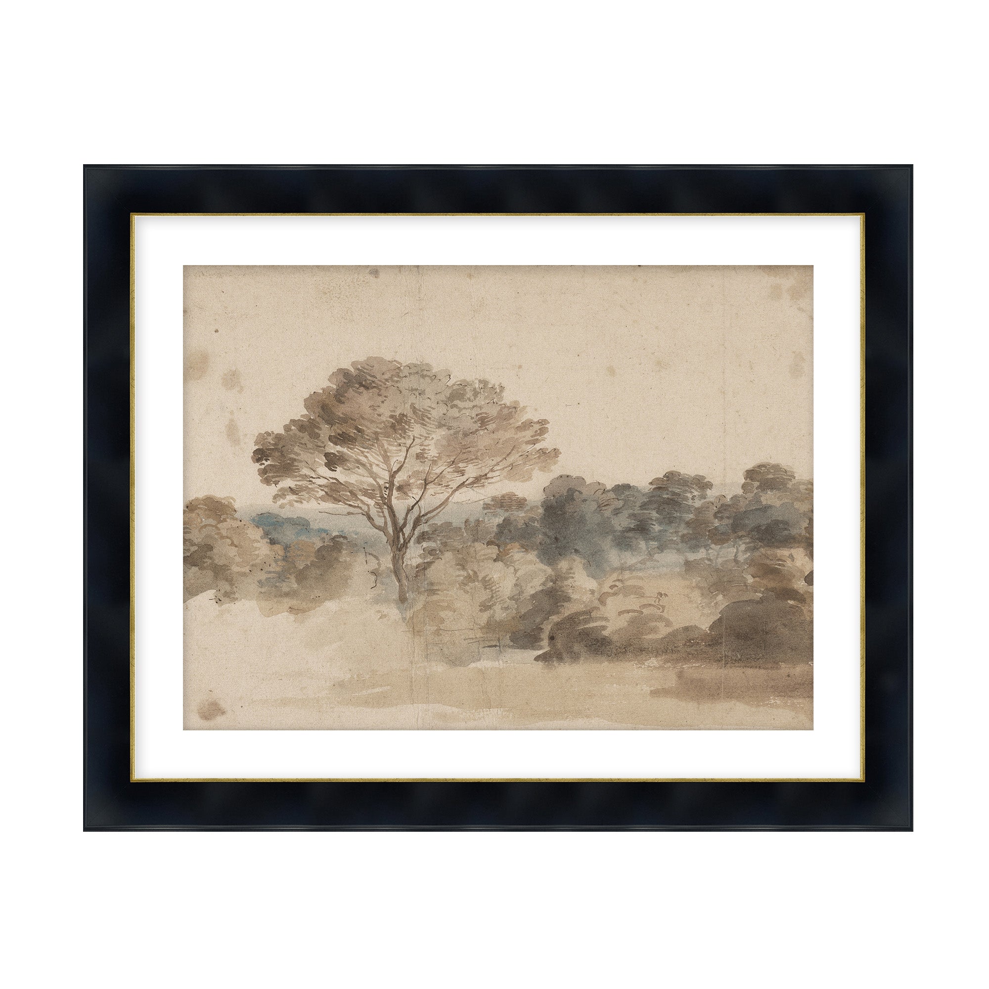 Quiet Grove