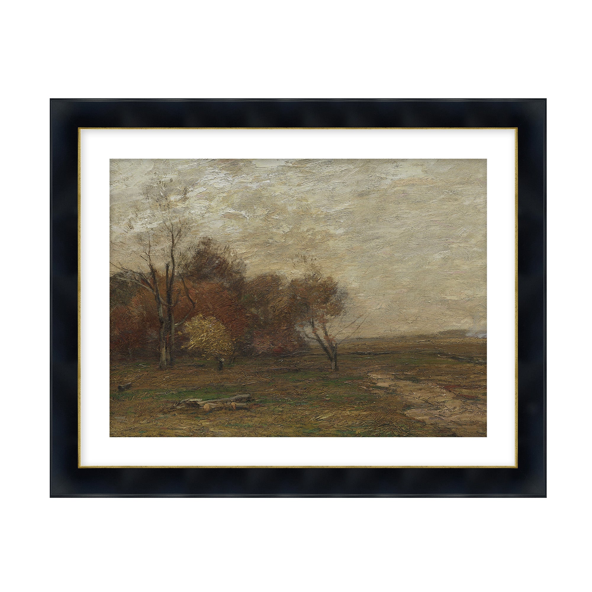 Autumn Field