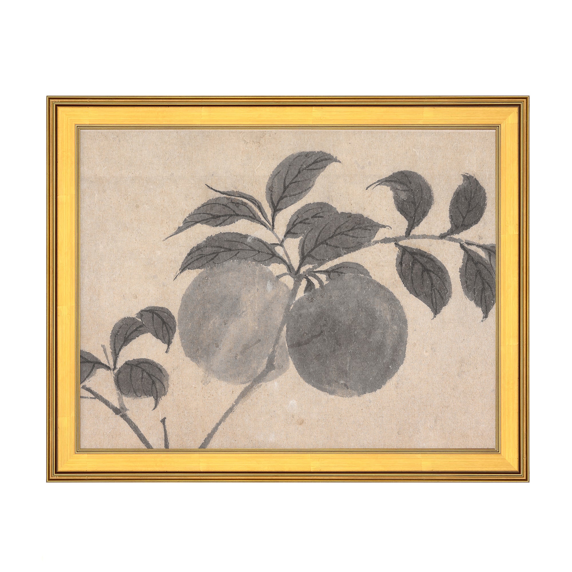 Fruit Branch Studies I
