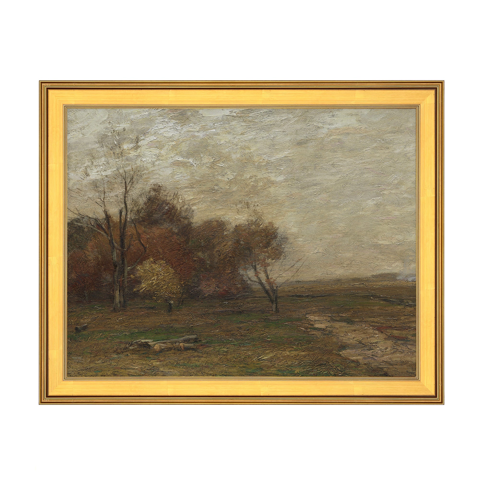 Autumn Field