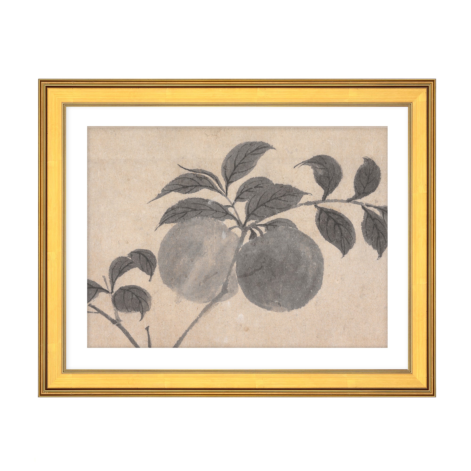 Fruit Branch Studies I