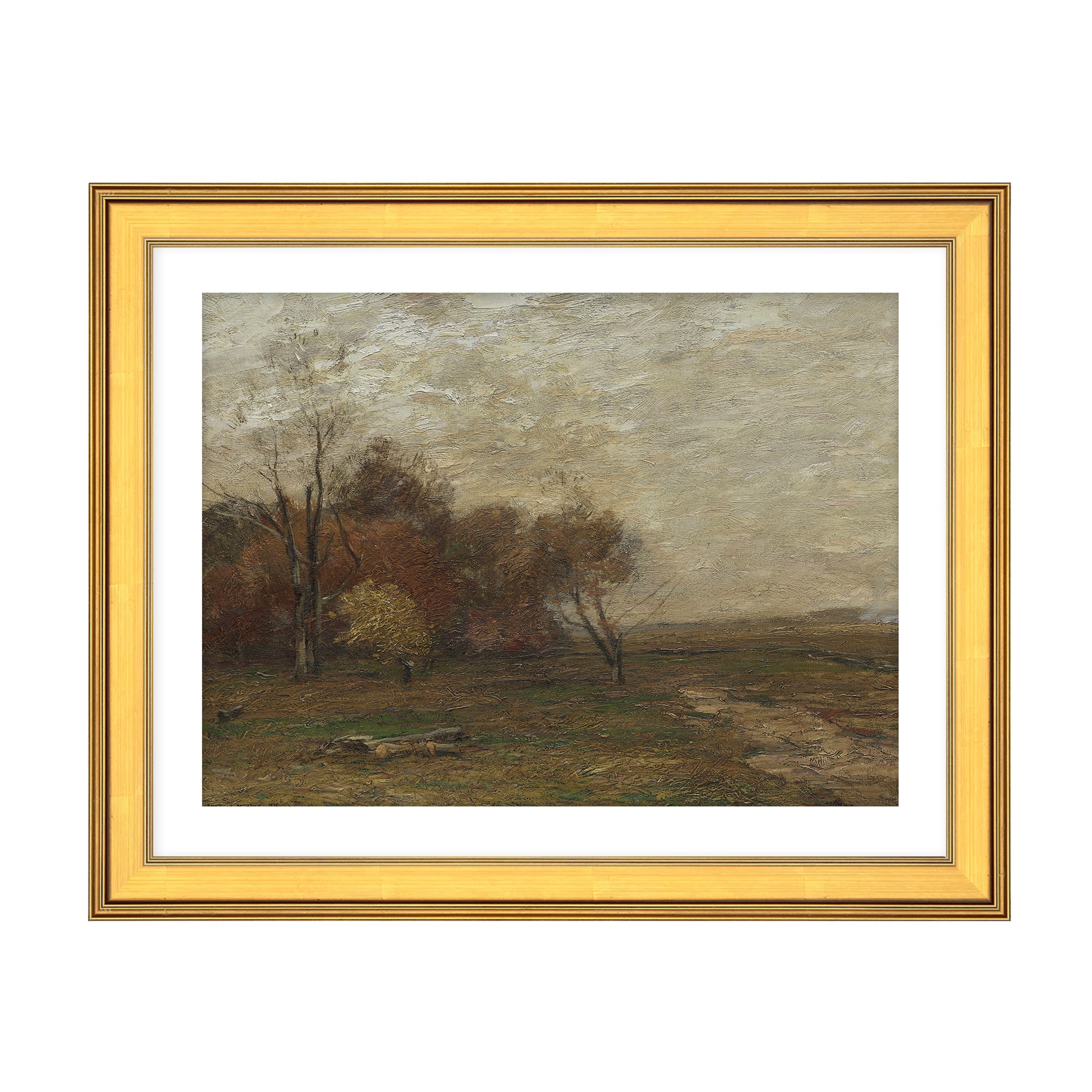 Autumn Field