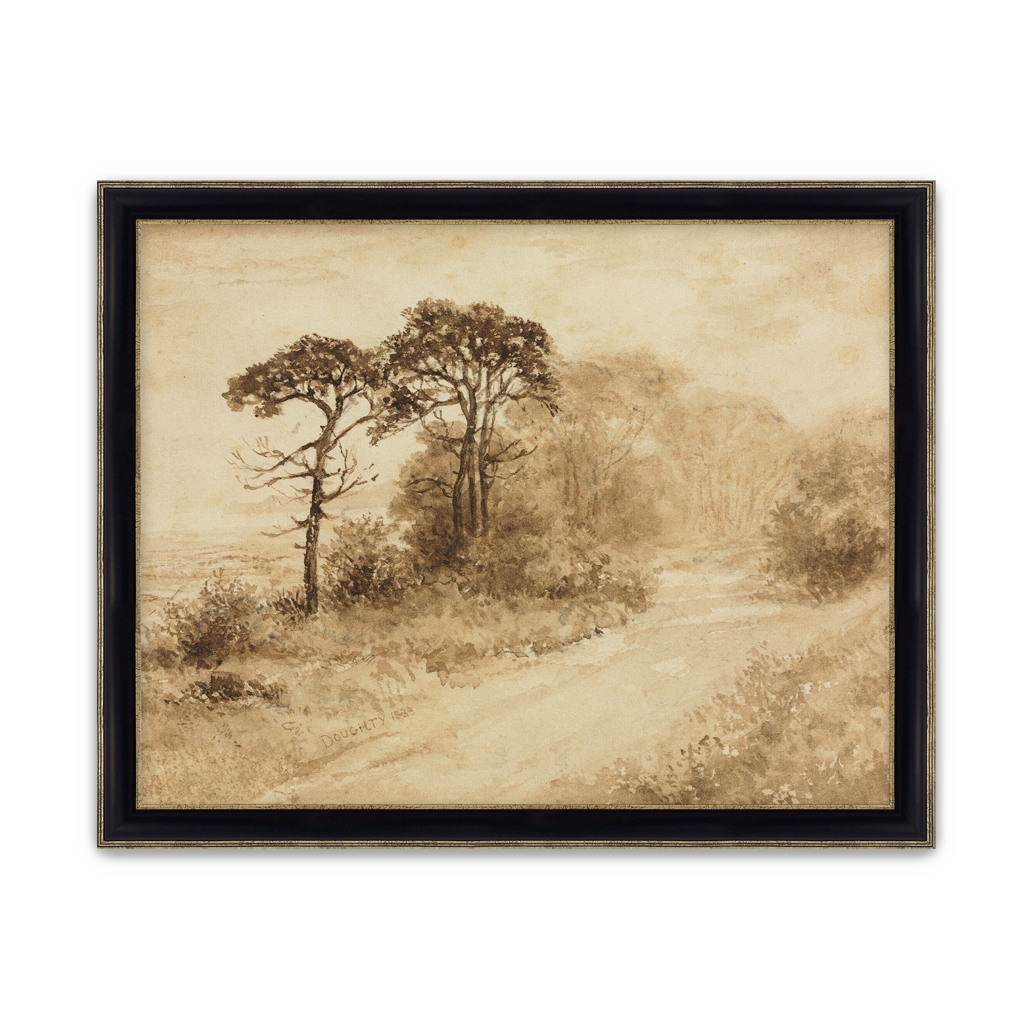 Sepia Trees