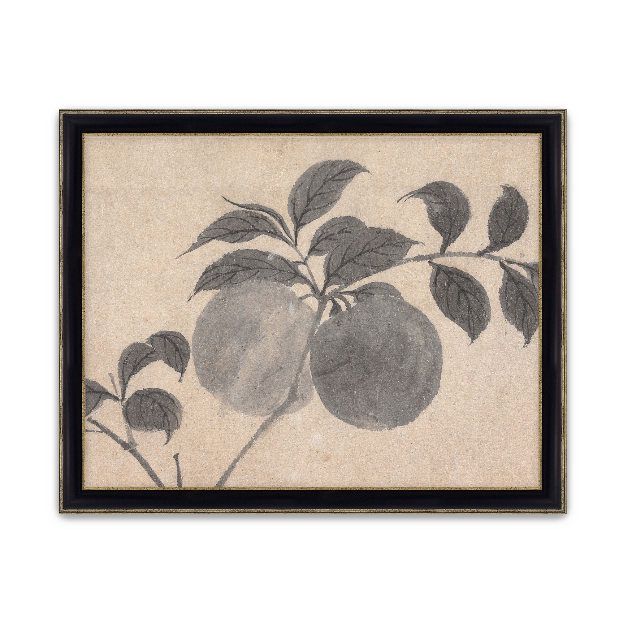 Fruit Branch Studies I
