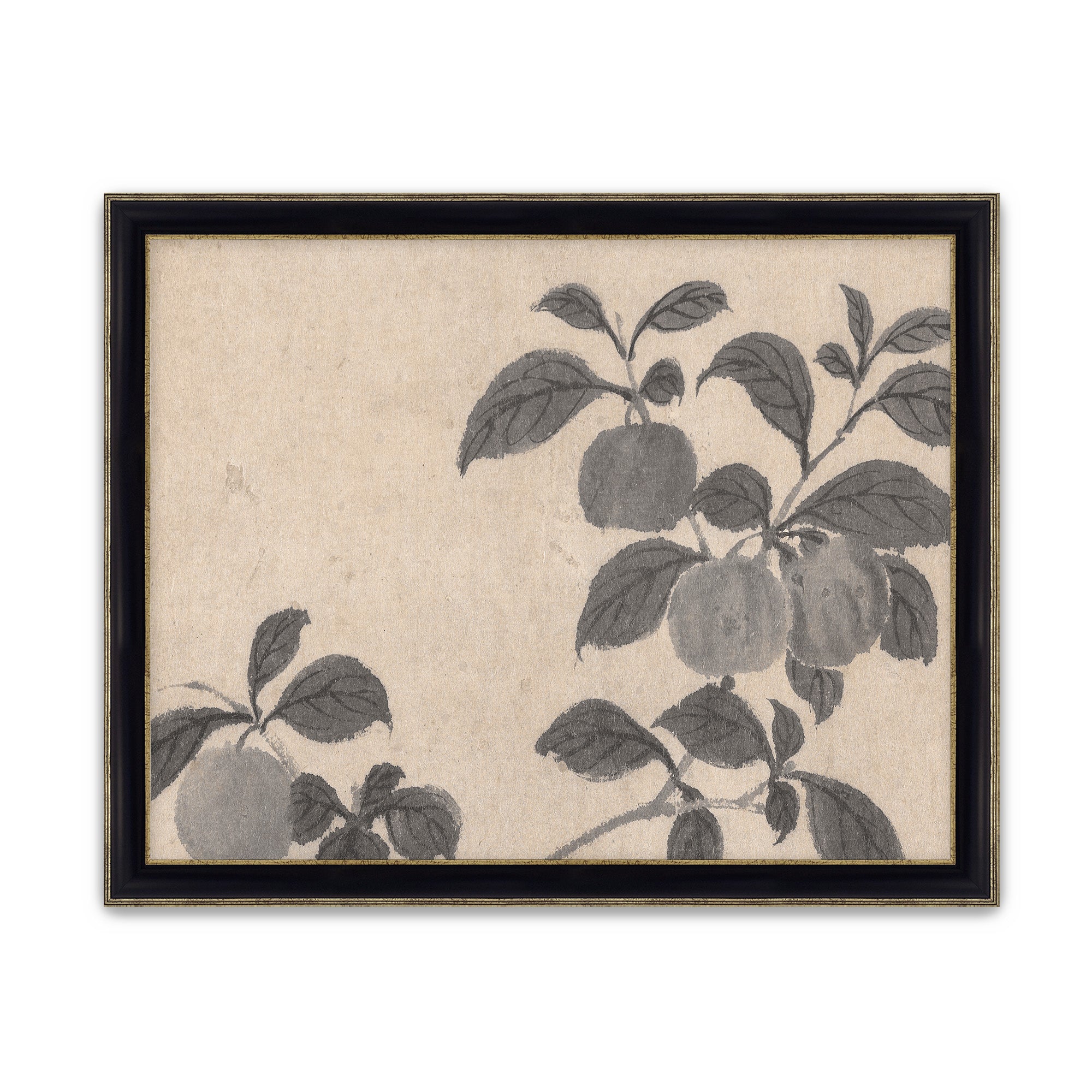 Fruit Branch Studies 2