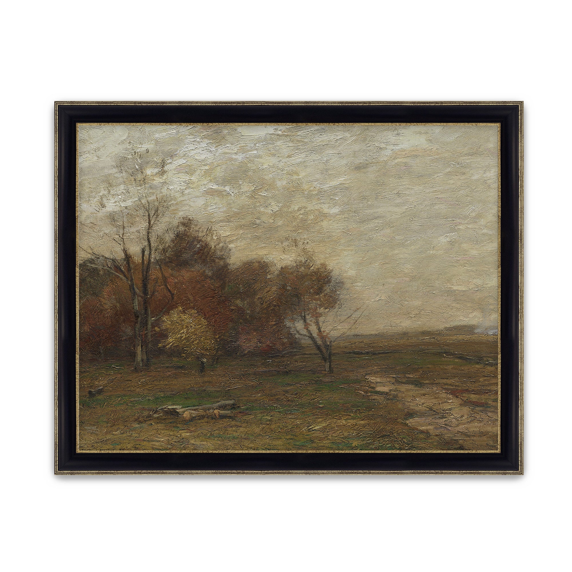 Autumn Field
