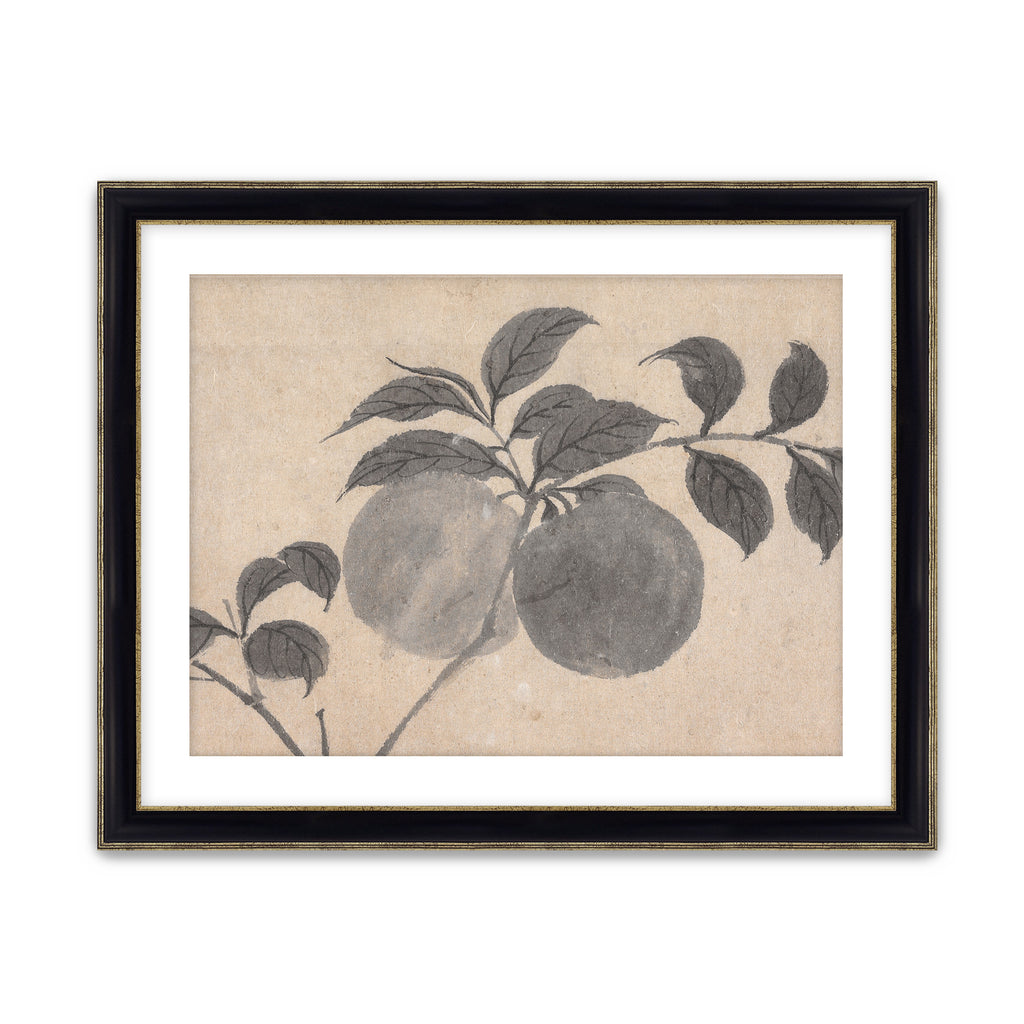 Fruit Branch Studies I