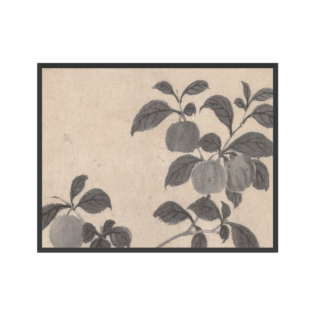 Fruit Branch Studies 2