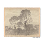 Oak