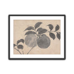 Fruit Branch Studies I