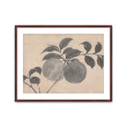 Fruit Branch Studies I
